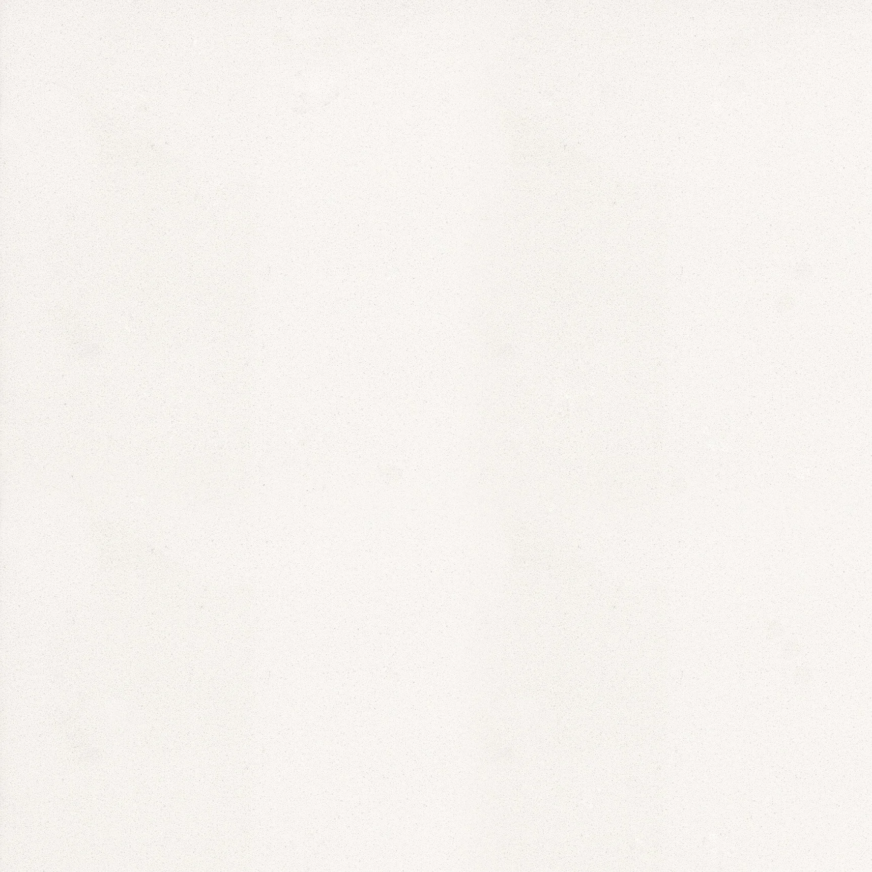 White Zeus