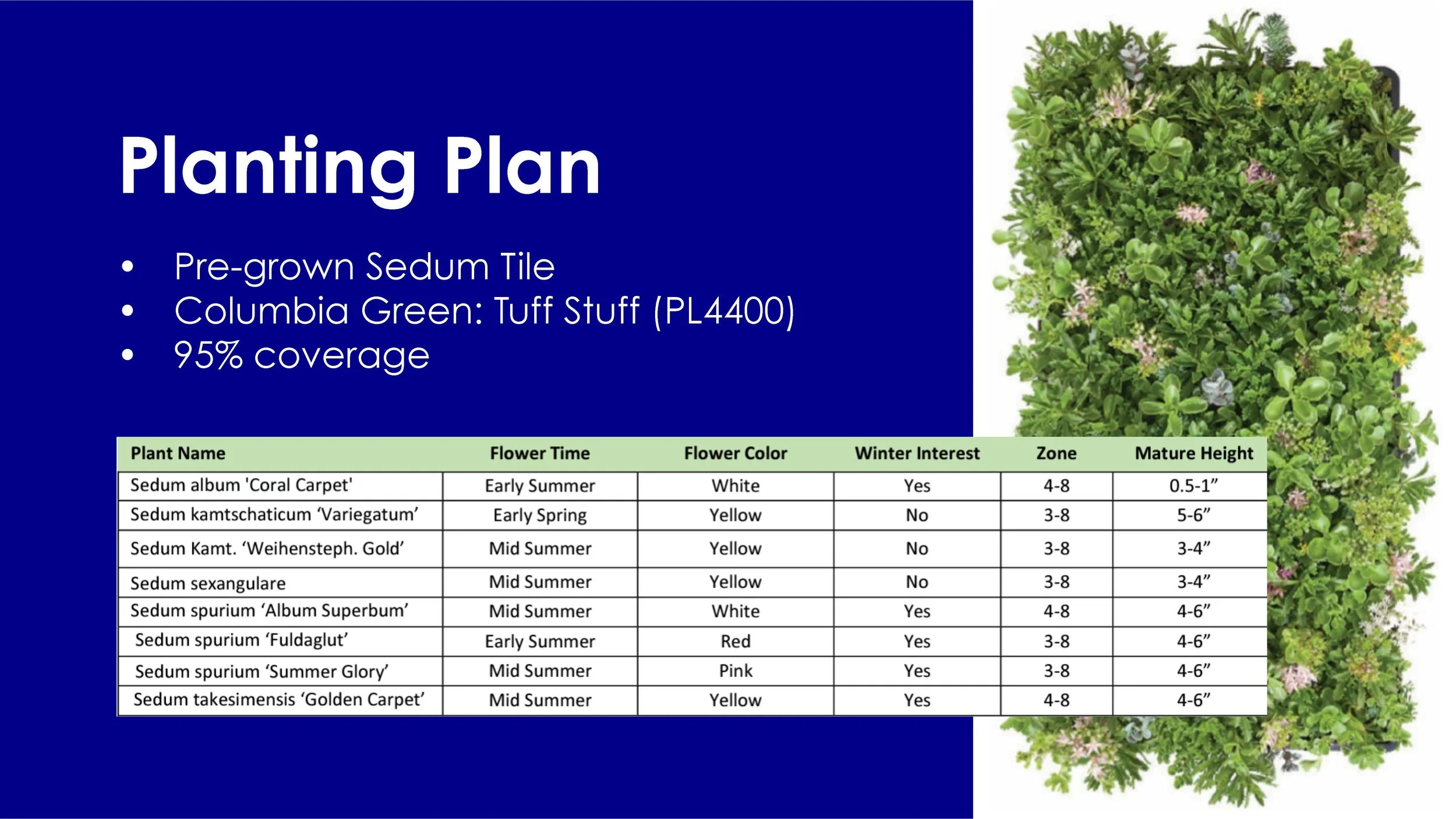 Final Presentation for Expedia Group- Green Roof Addition_Page_27.jpg