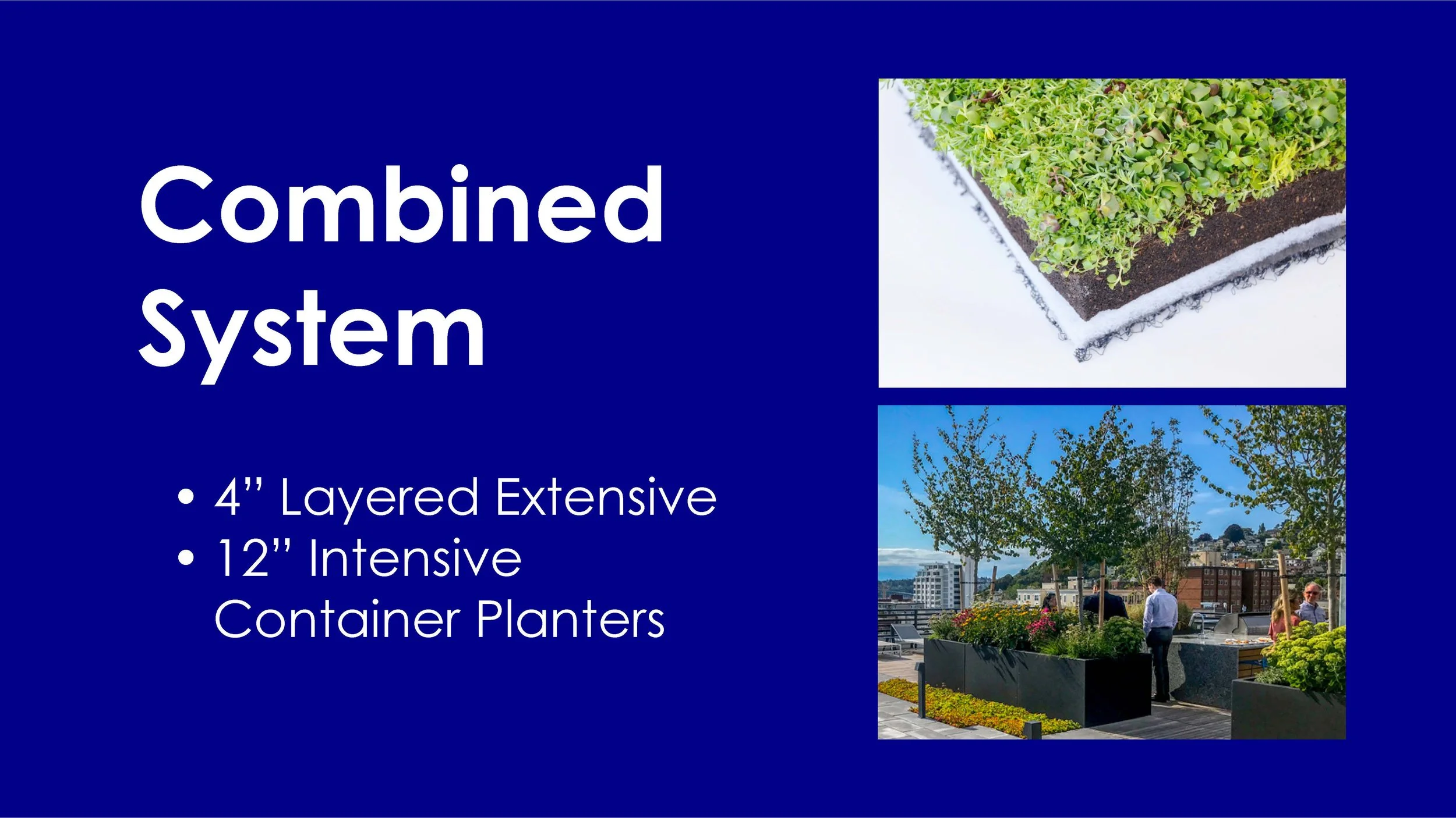 Final Presentation for Expedia Group- Green Roof Addition_Page_23.jpg