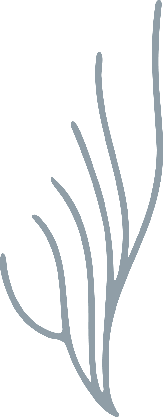 Radiant Health Pittsburgh branded muscle and tendon drawing.