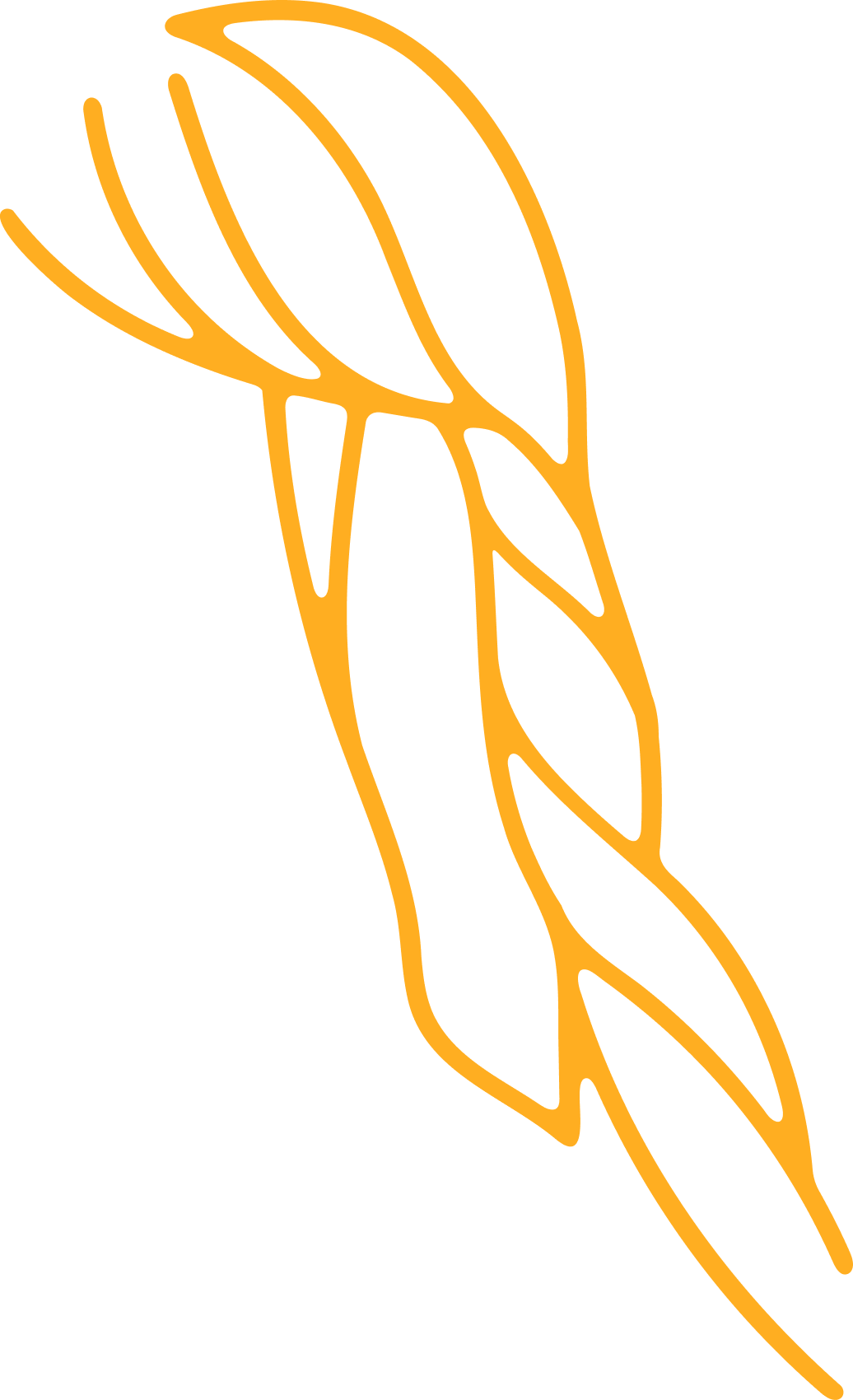 Radiant Health Pittsburgh branded muscle and tendon drawing.