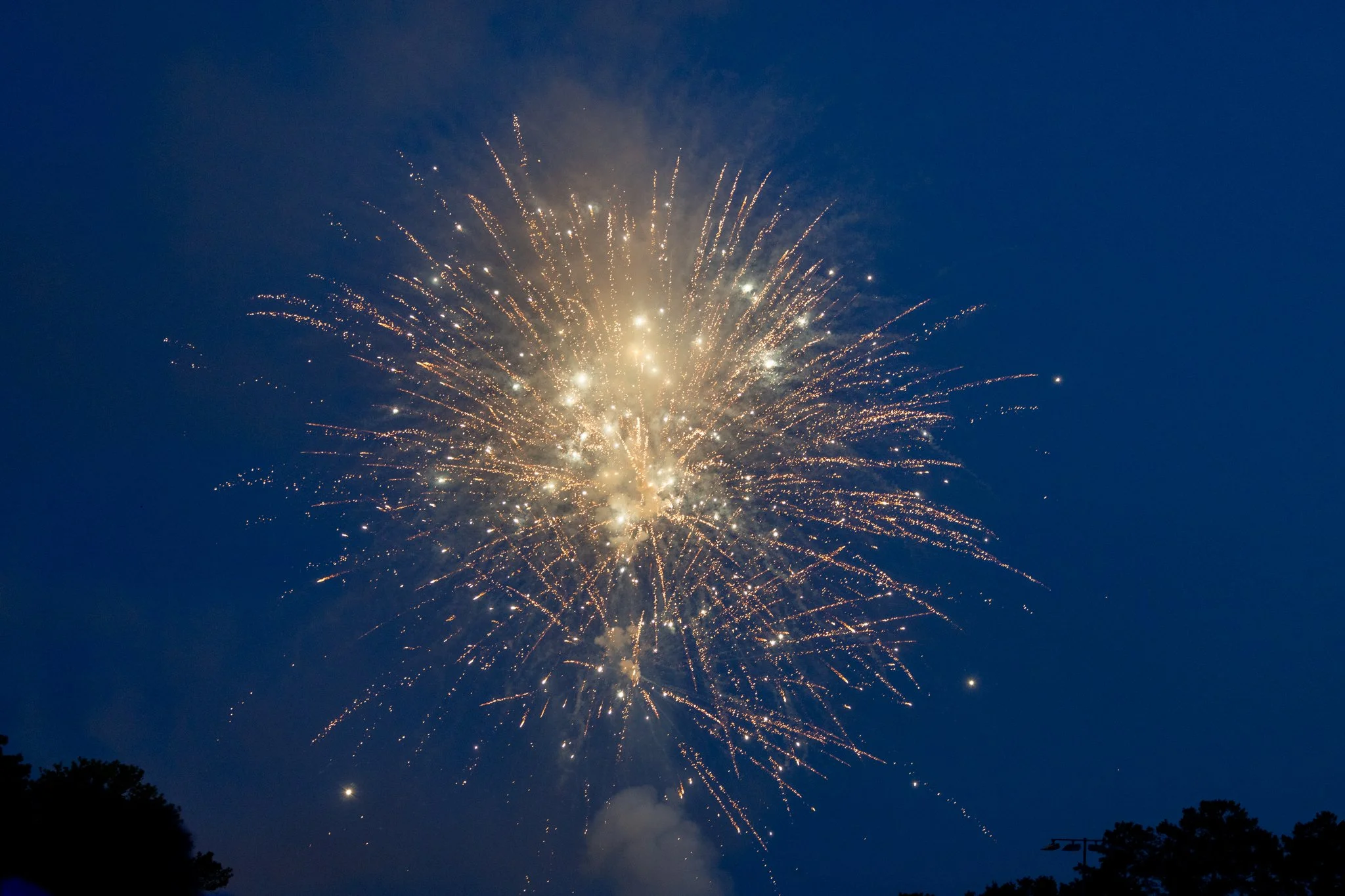 Fireworks exploding in a dark night sky over silhouettes of trees and structures.