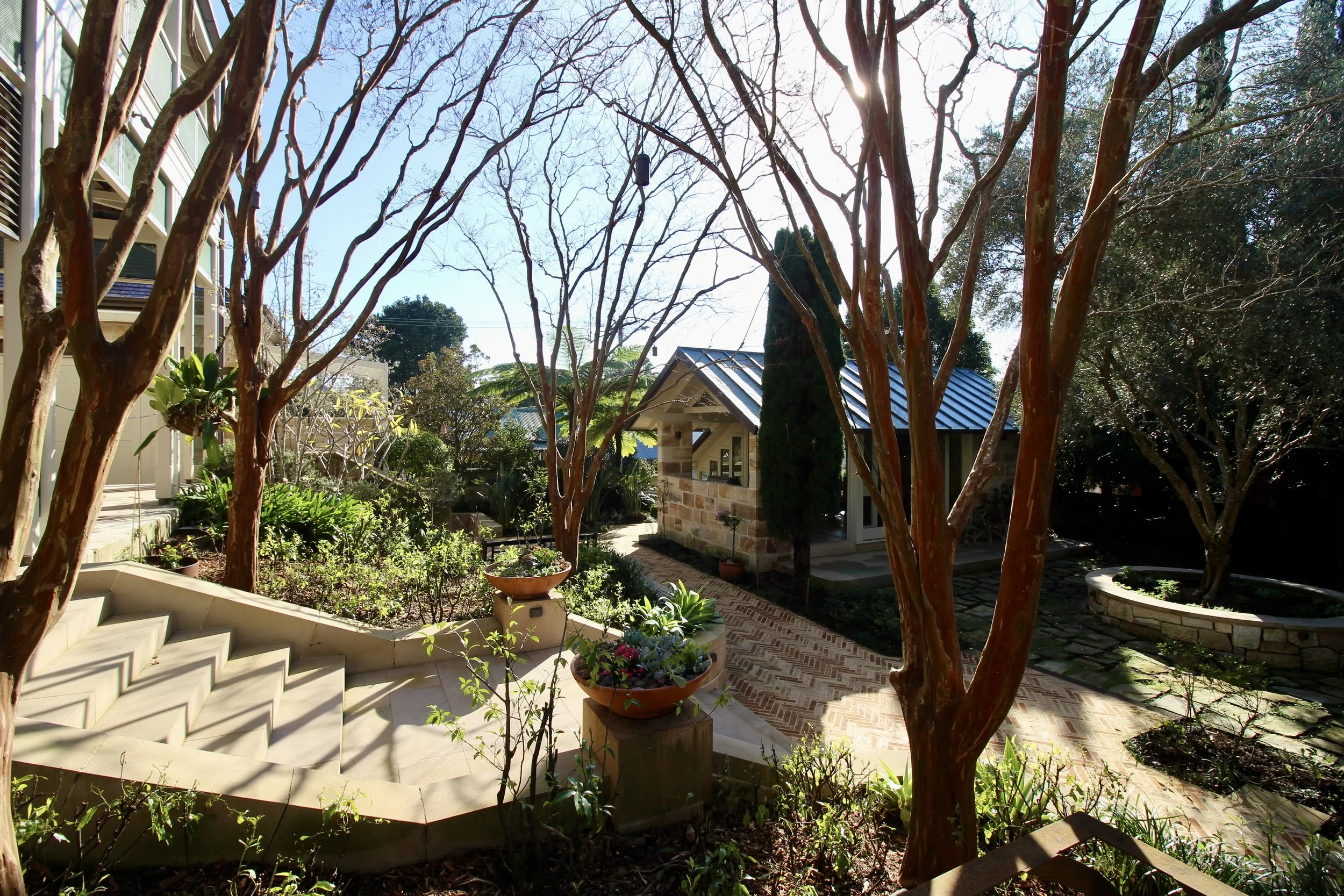 Dinham_constructions_Builders_Sydney_Balmain_Renovations_Quality_Luxury_Renovations_landscaping 