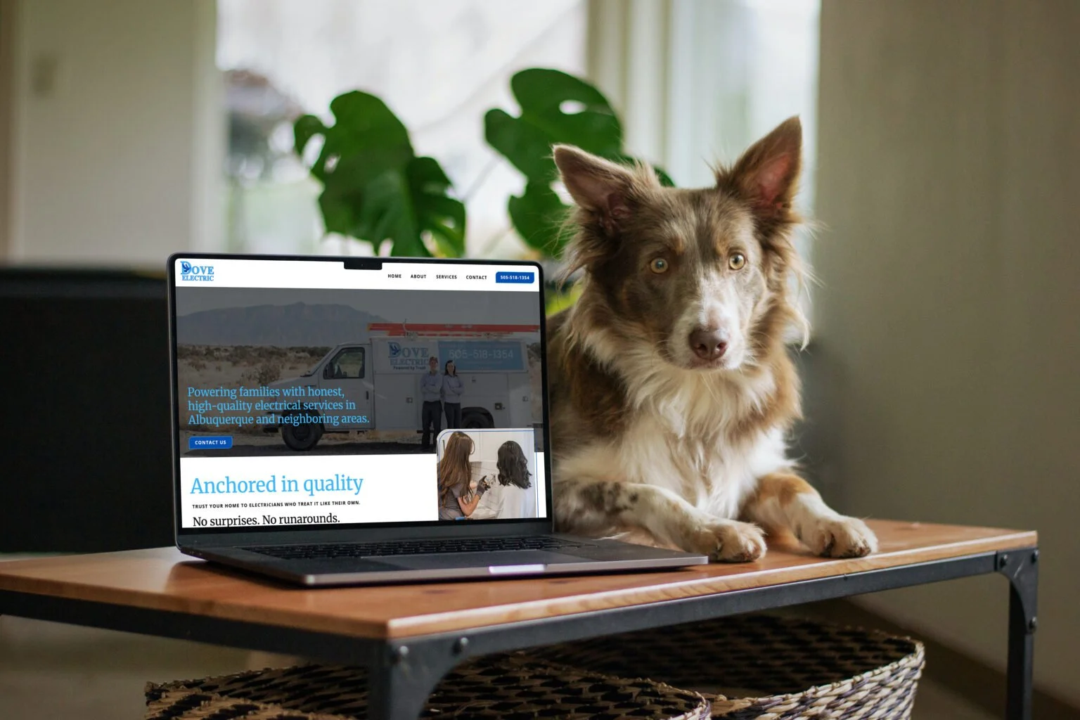 New Showit Website and Dynamic Branding for Dove Electric