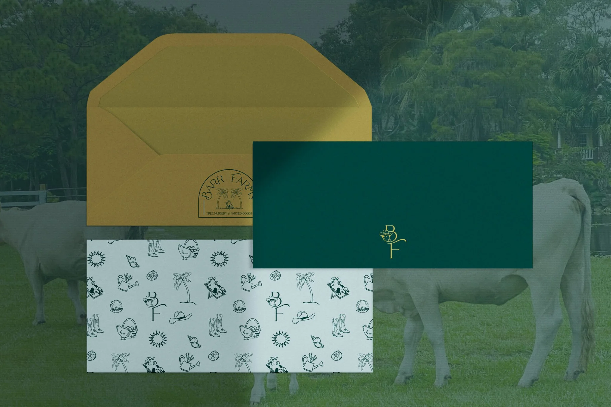 Custom Brand Design and Website for a Family-Run Farm