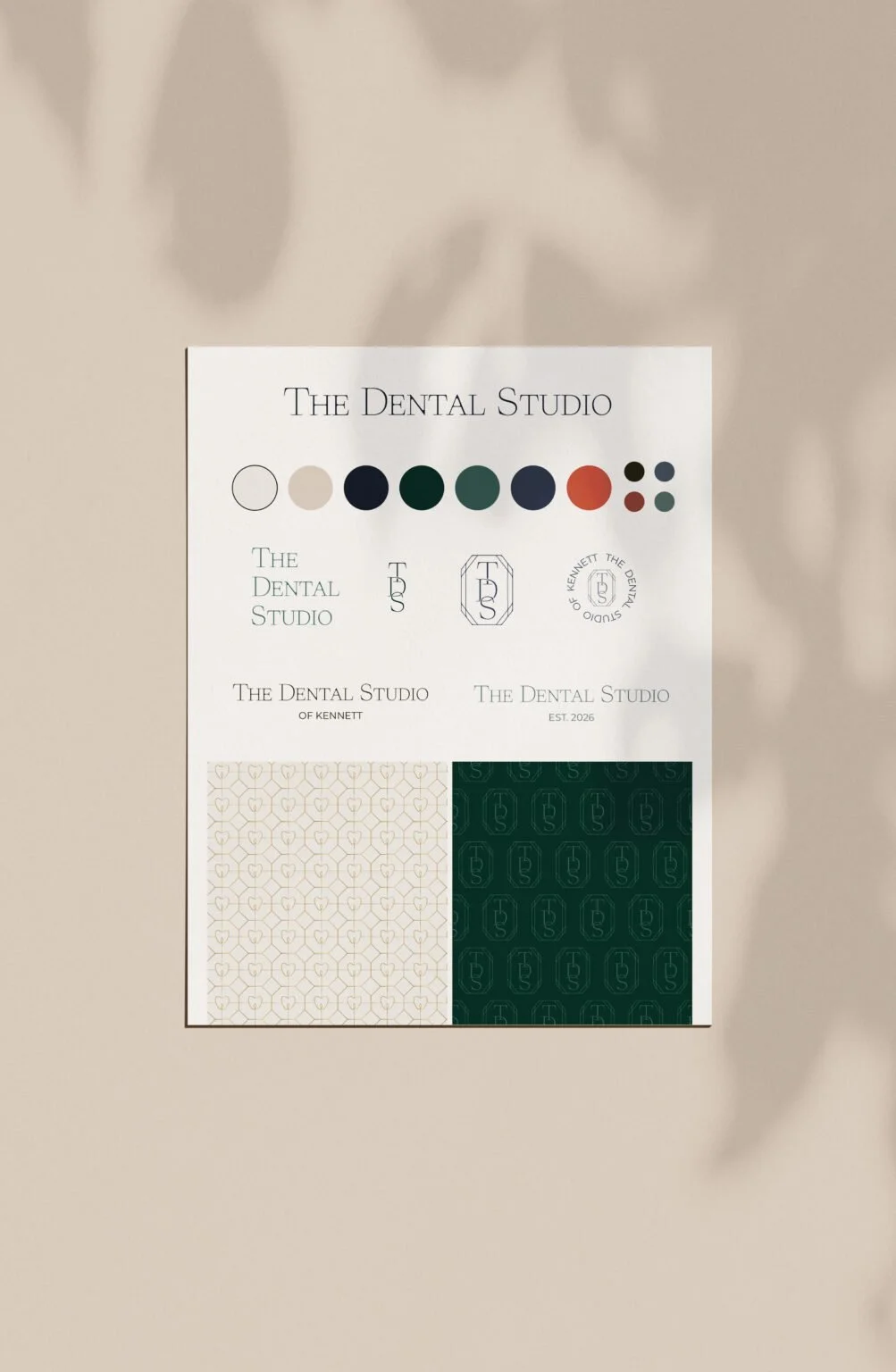 The Dental Studio brand guide design.