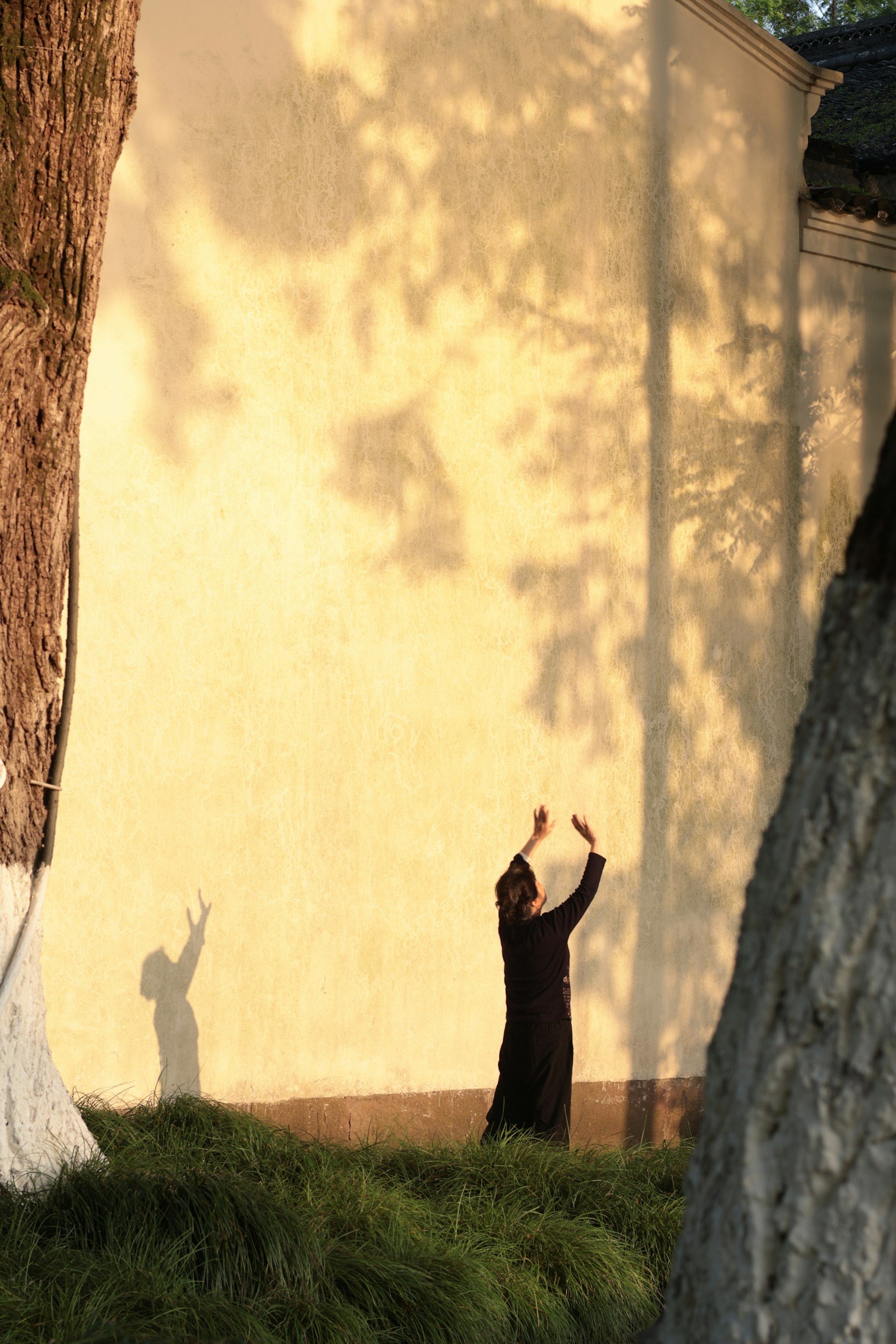 Open to Wisdom Healing Qigong 4 Well-Being (Members Only)