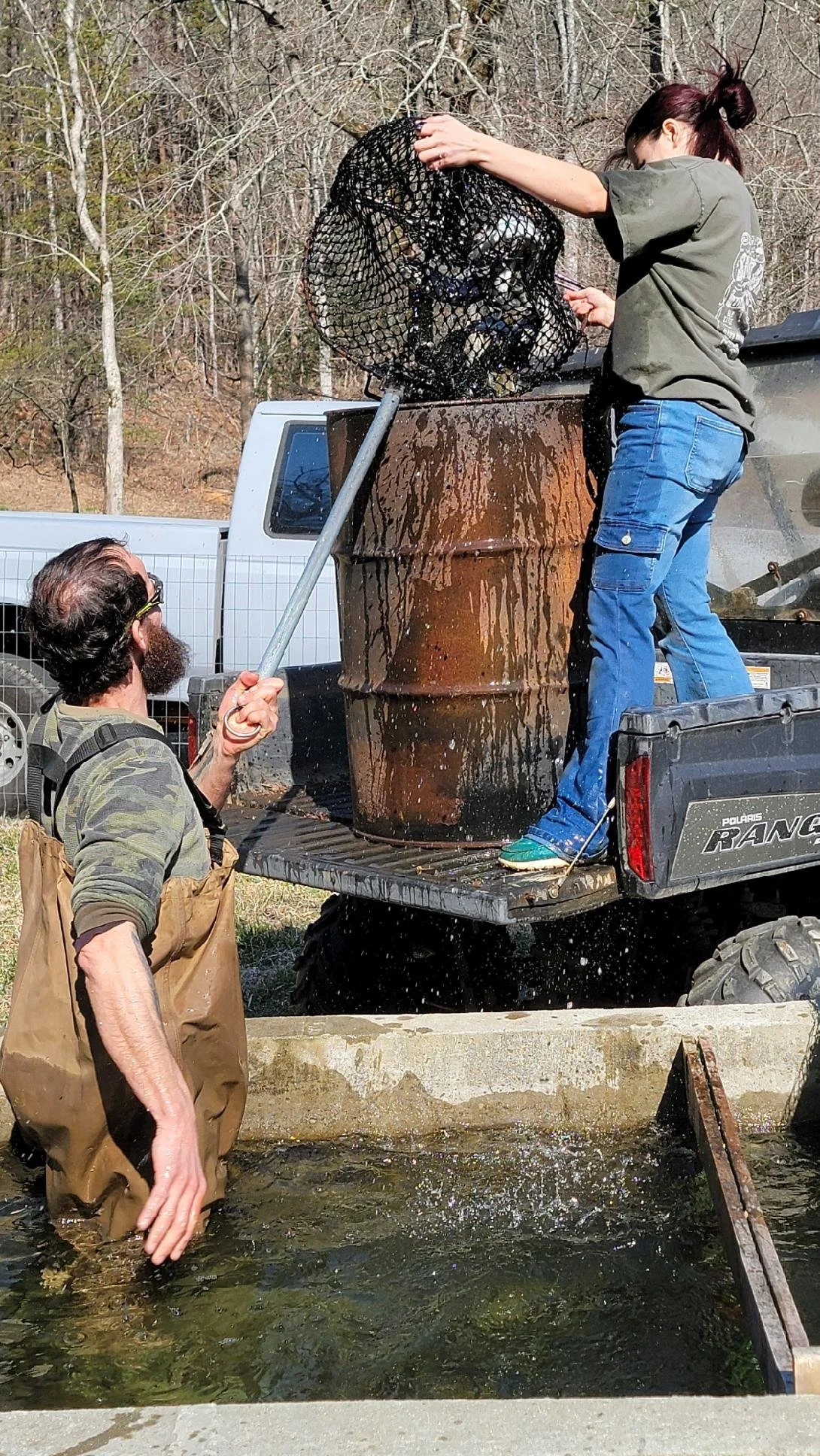 Loading rainbow trout into a transport barrel with the next generation lending a helping hand.
