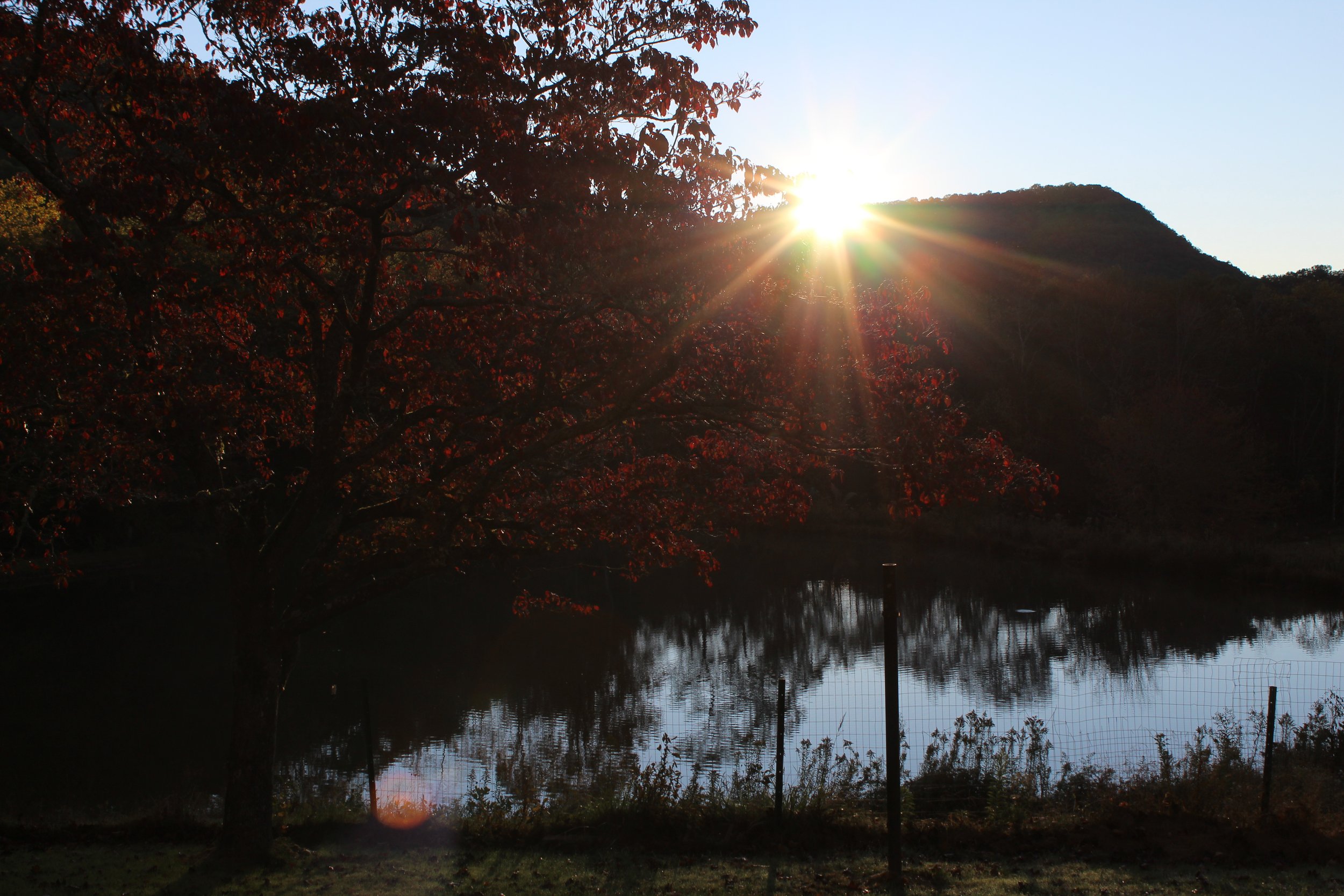 The setting sun peeking over the Appalachian Mountains and reflecting across a peaceful trout pond at Andy's Trout Farm.