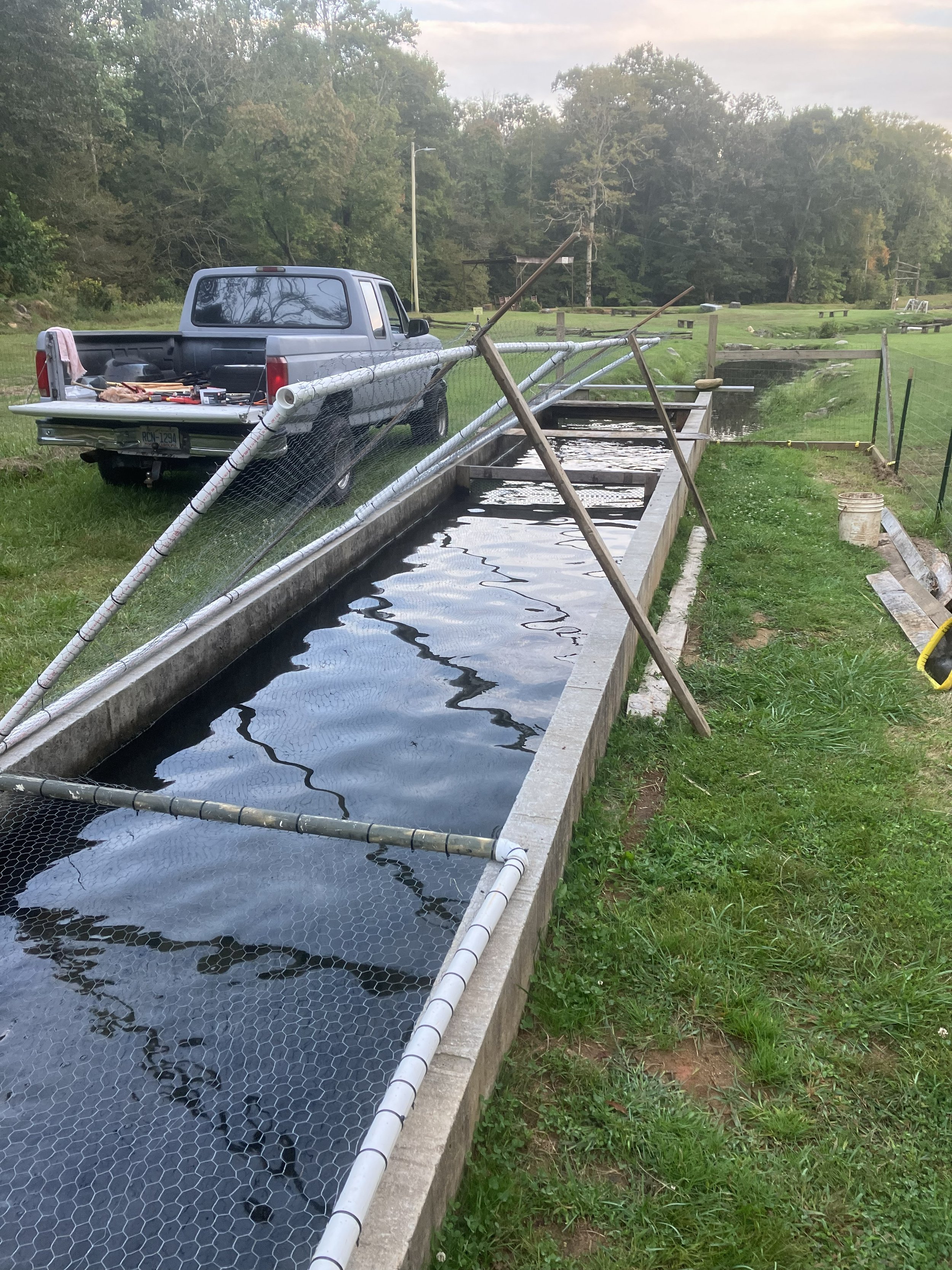 Flowing raceways providing clean, oxygen-rich water for healthy rainbow trout.