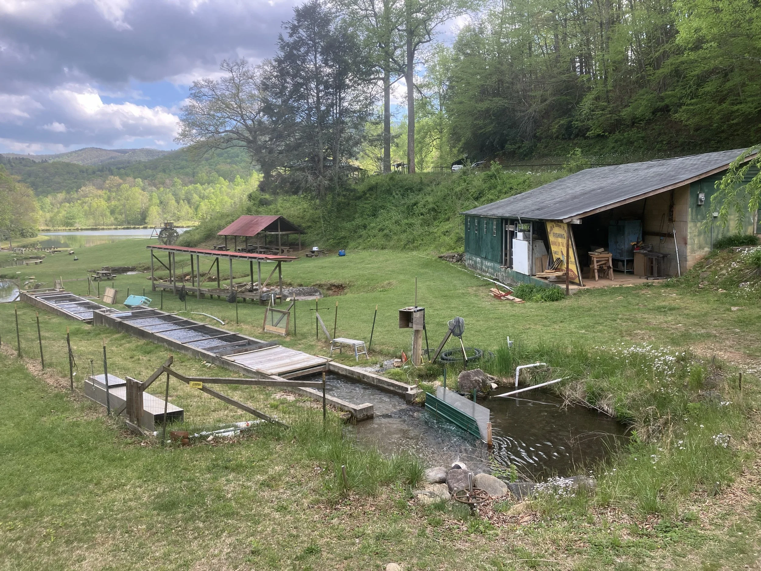 Historic trout hatchery and spring-fed raceways nestled in the mountains of Western North Carolina.
