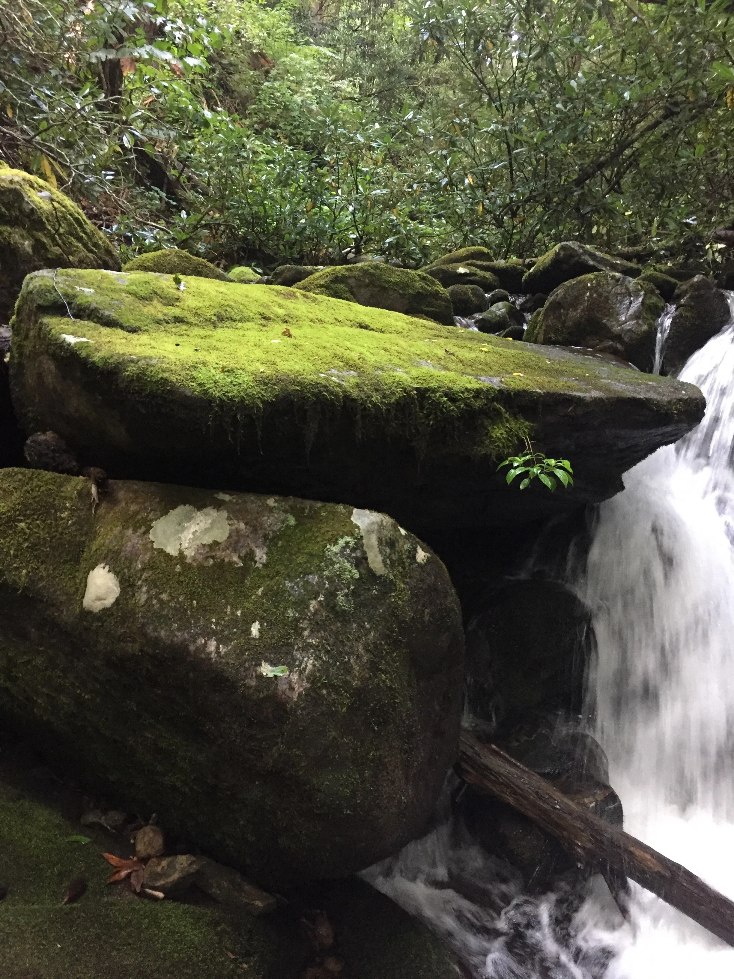A moss-covered boulder beside a mountain waterfall in the forests of Western North Carolina.