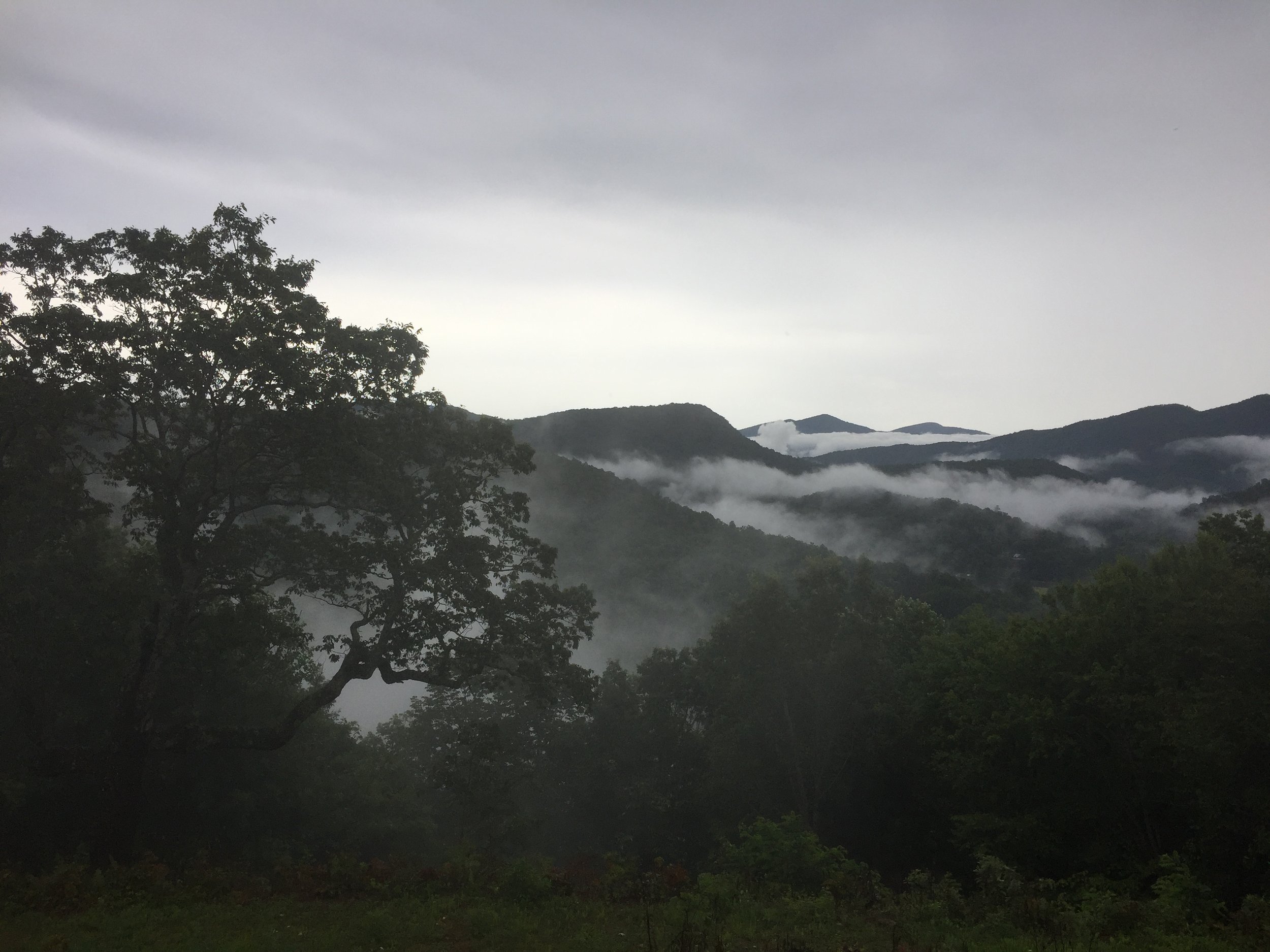 The historic Signal Tree standing watch over a mist-covered Appalachian mountain valley.