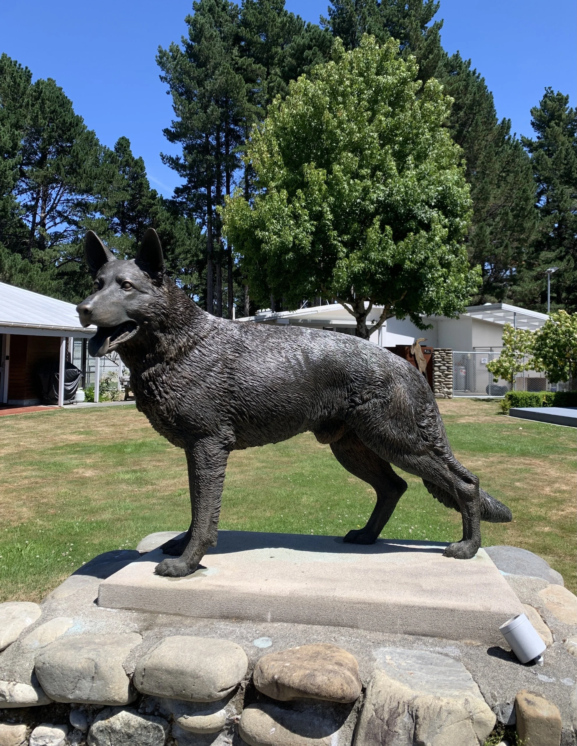 German Shepherd.
Sculptor: Brigitte Wuest.
Post restoration