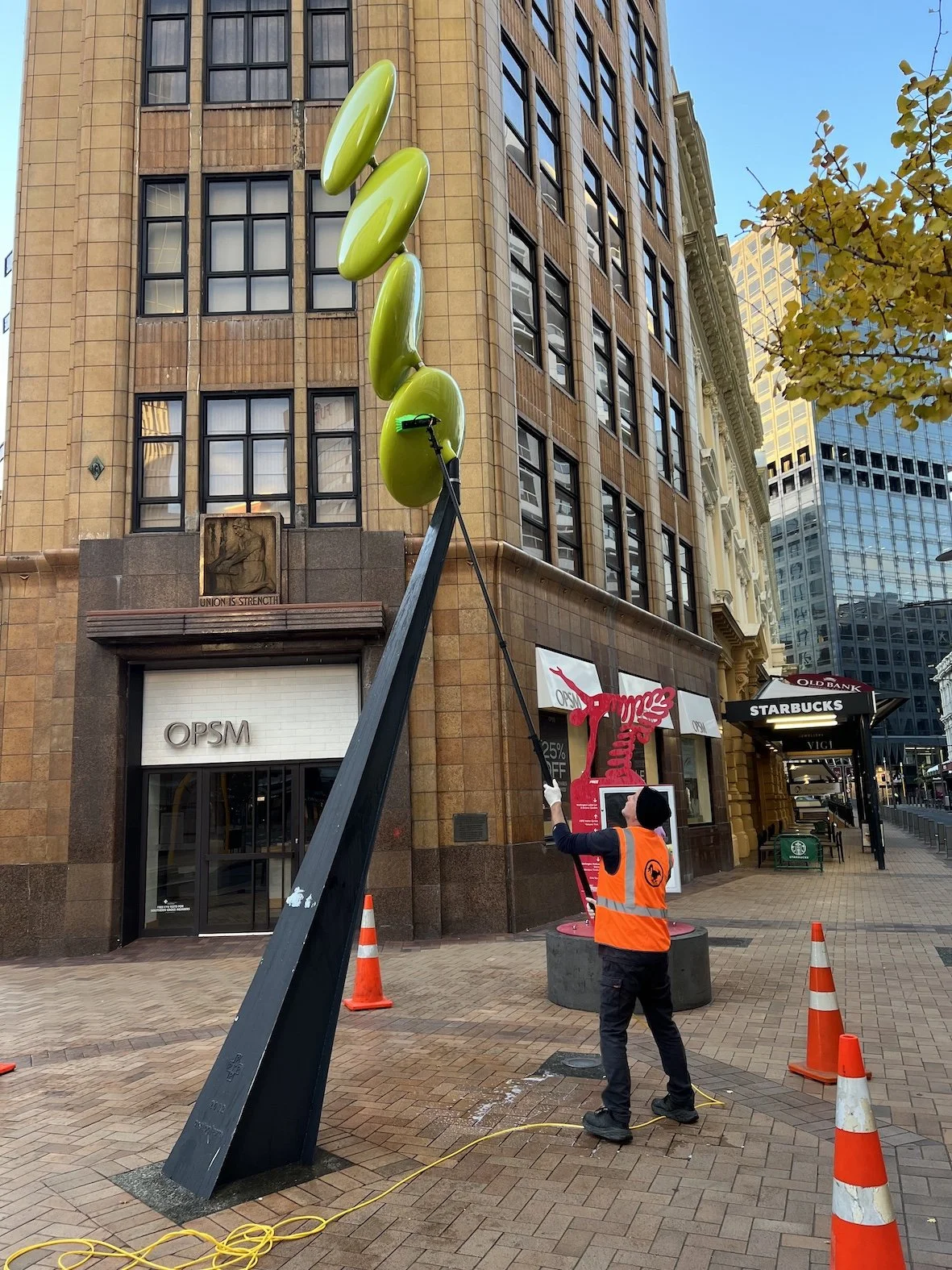 Protoplasm. Wellington.
Sculptor: Phil Price
Deionised washing.