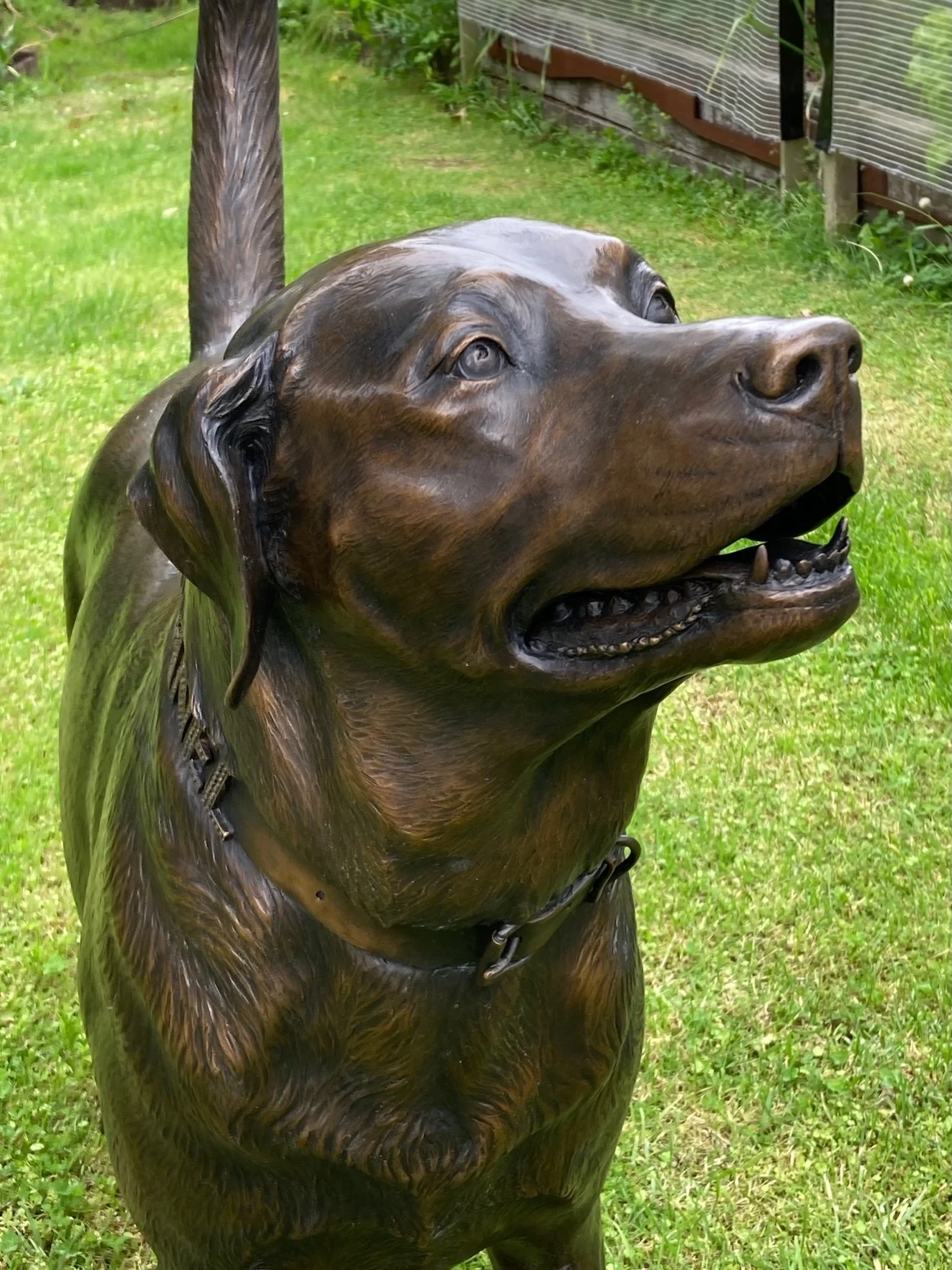 Chocolate Labrador.
Sculptor: Brigitte Wuest