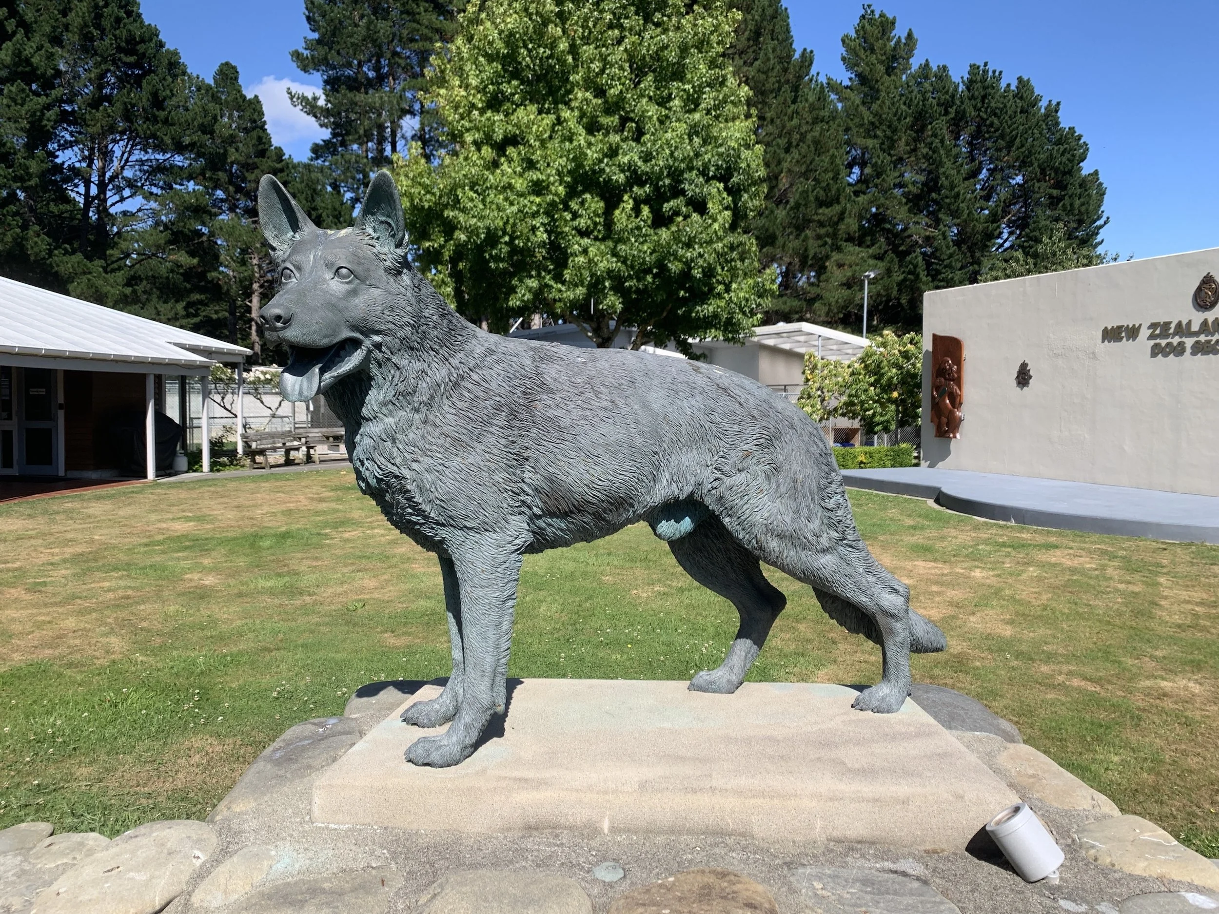 German Shepherd.
Sculptor: Brigitte Wuest.
Pre restoration