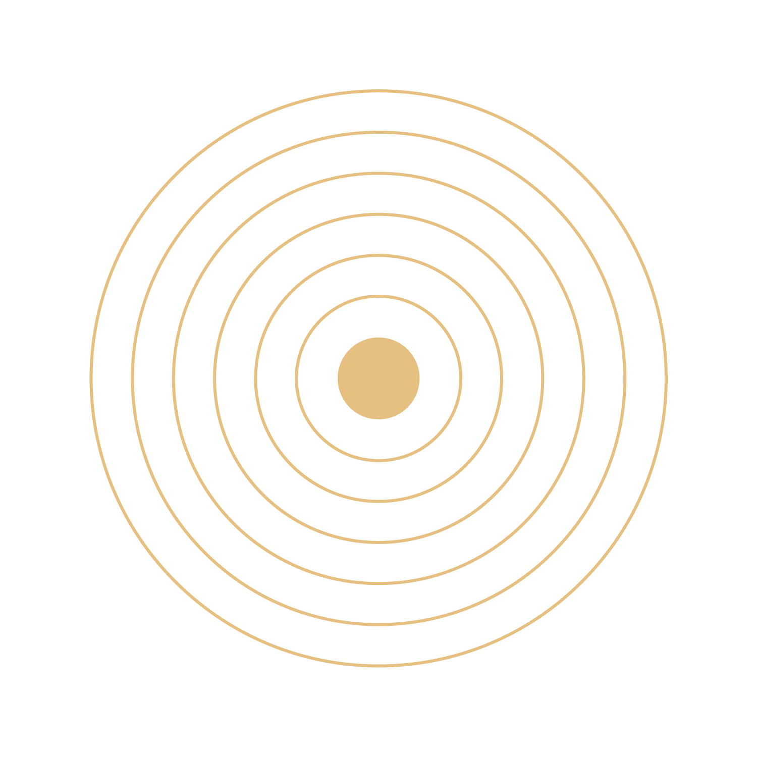 A beige bullseye target with concentric circles, centered on a white background.