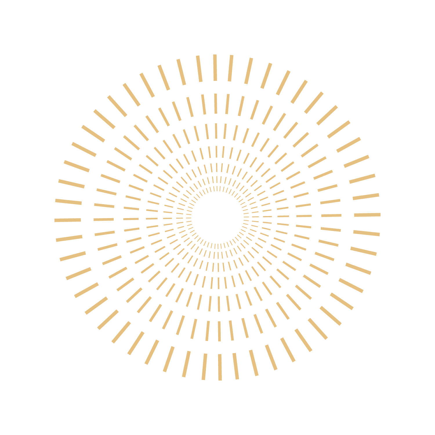 Concentric circular patterns with beige dashed lines on a black background, creating a tunnel-like visual effect.