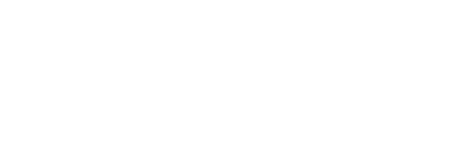 IL PRESIDENTE 