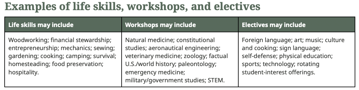Table listing examples of life skills, workshops, and electives with three columns: 'Life skills may include', 'Workshops may include', and 'Electives may include'.
