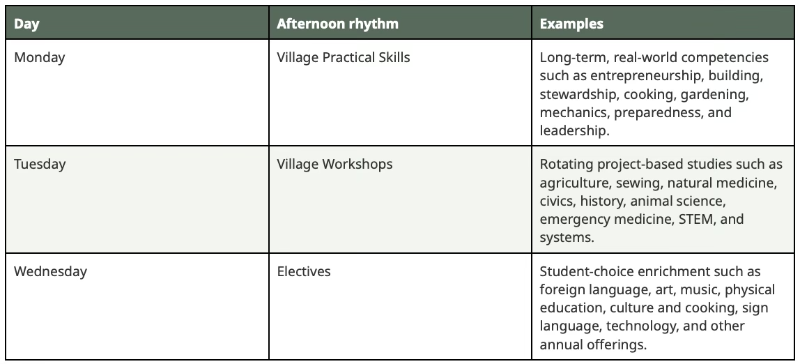 A weekly schedule table with three columns: Day, Afternoon Rhythm, and Examples. Monday features Village Practical Skills with examples like entrepreneurship and gardening. Tuesday features Village Workshops with examples like agriculture and animal science. Wednesday features Electives with examples like foreign language and art.