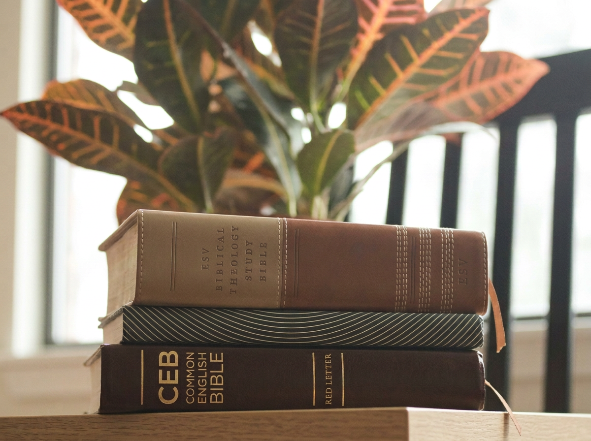 A stack of three religious books on a wooden table, with a leafy plant in the background near a window.