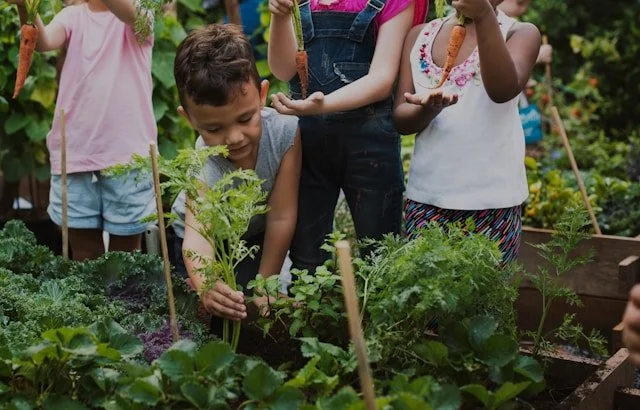 Group of children gardening together outdoors, harvesting plants and vegetables, in a lush garden.