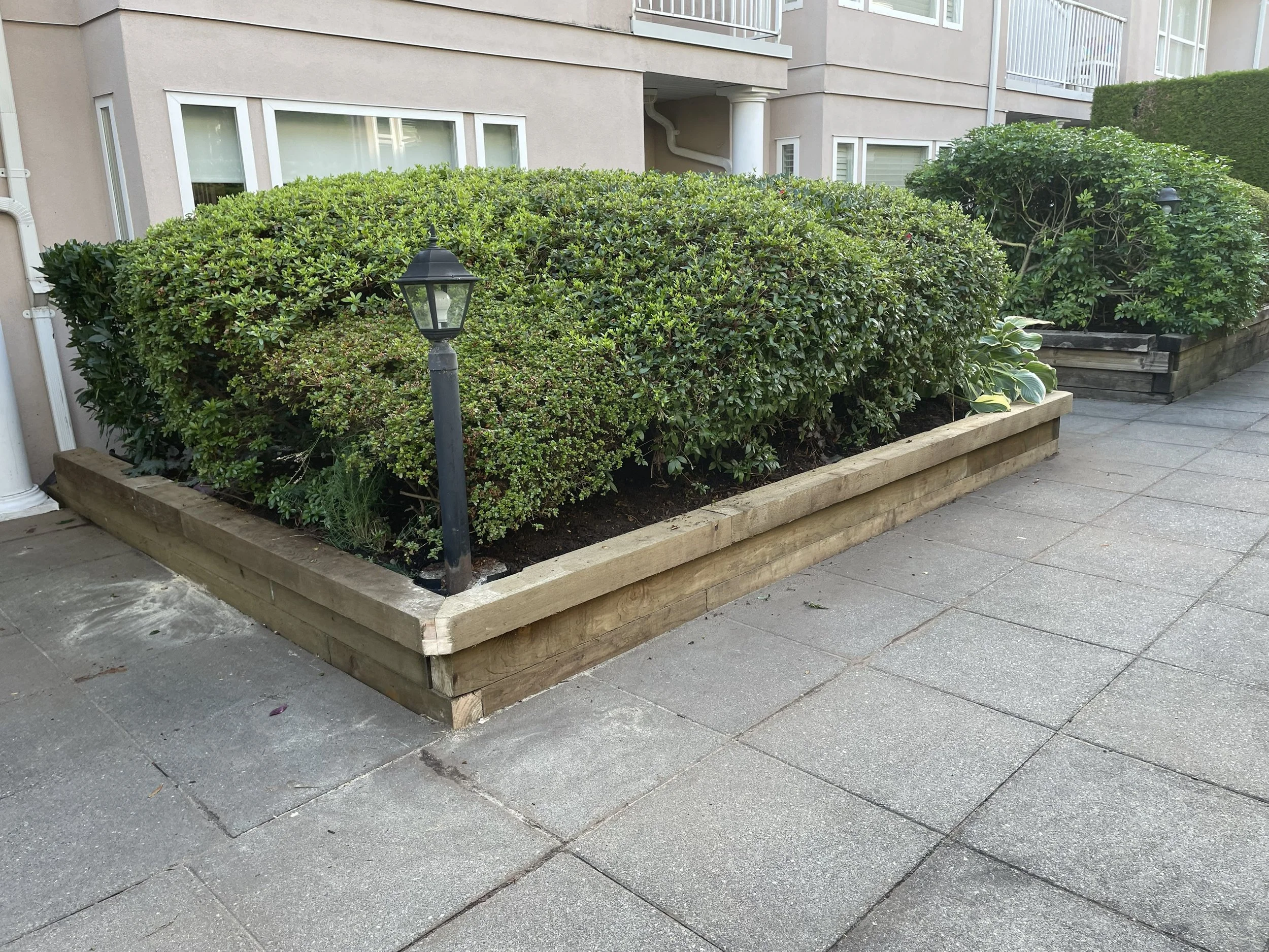planter2.jpg
