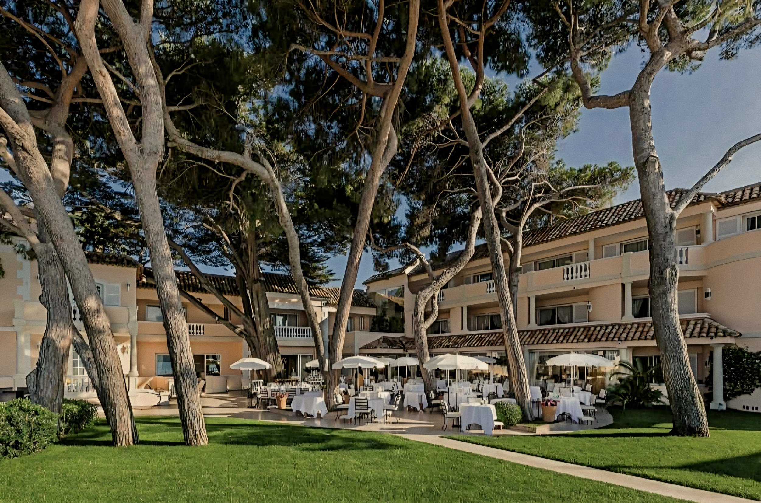 Pine trees and Arnaud Donckele estate at La Vague d'Or Saint Tropez three Michelin-Starred Restaurant in France.