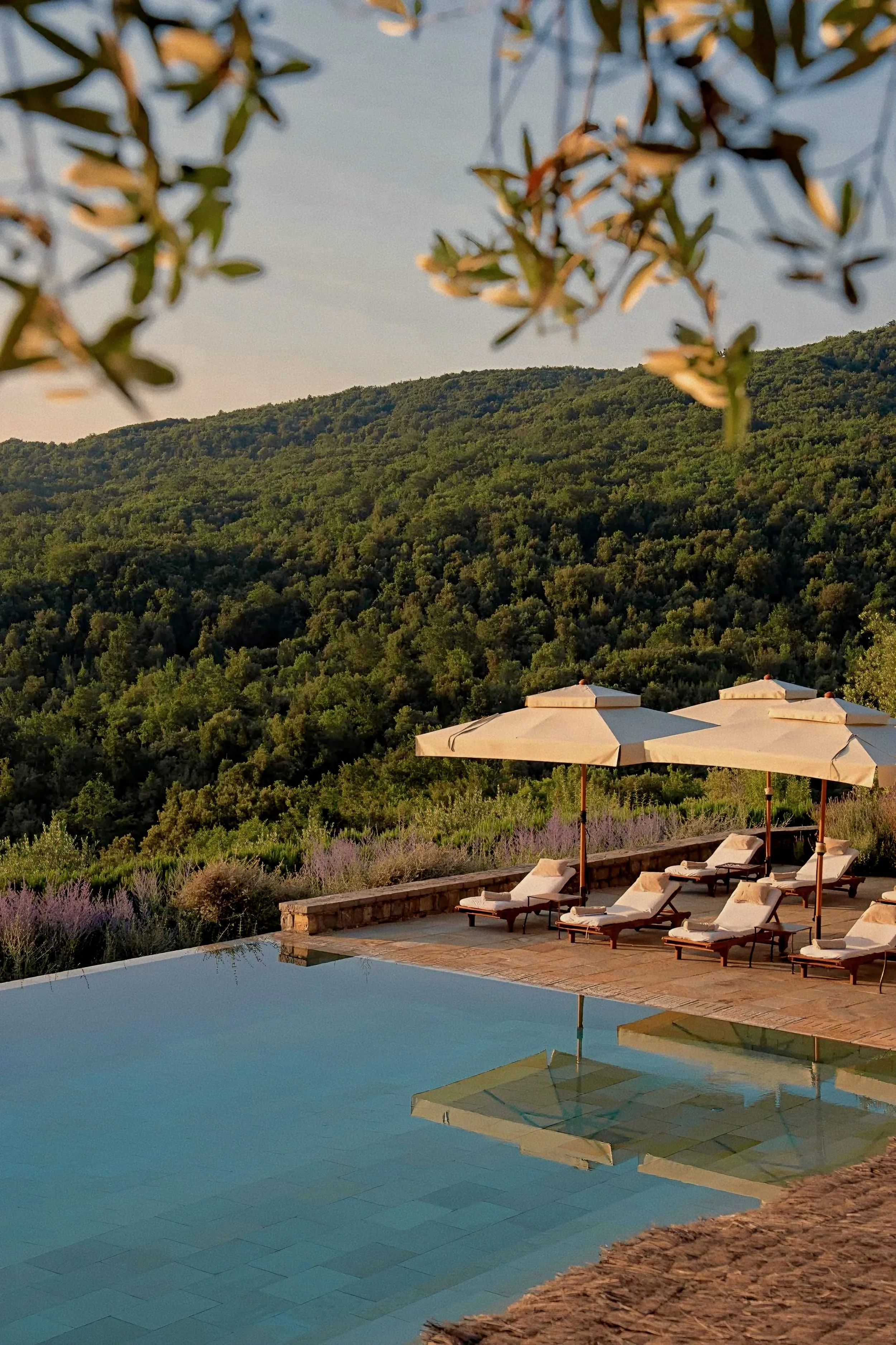 Infinity pool overlooking hillside at Castiglion del Bosco, A Rosewood Hotel, Val d'Orcia, Tuscany, Italy.