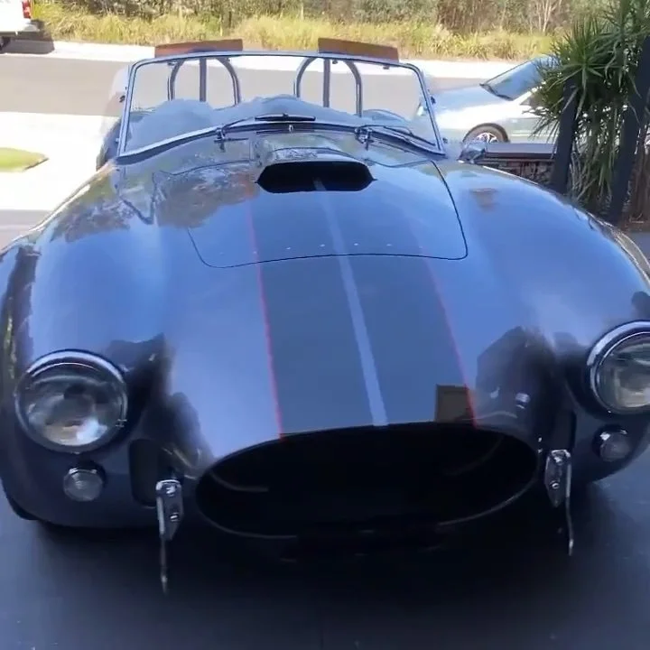 cobra  detail