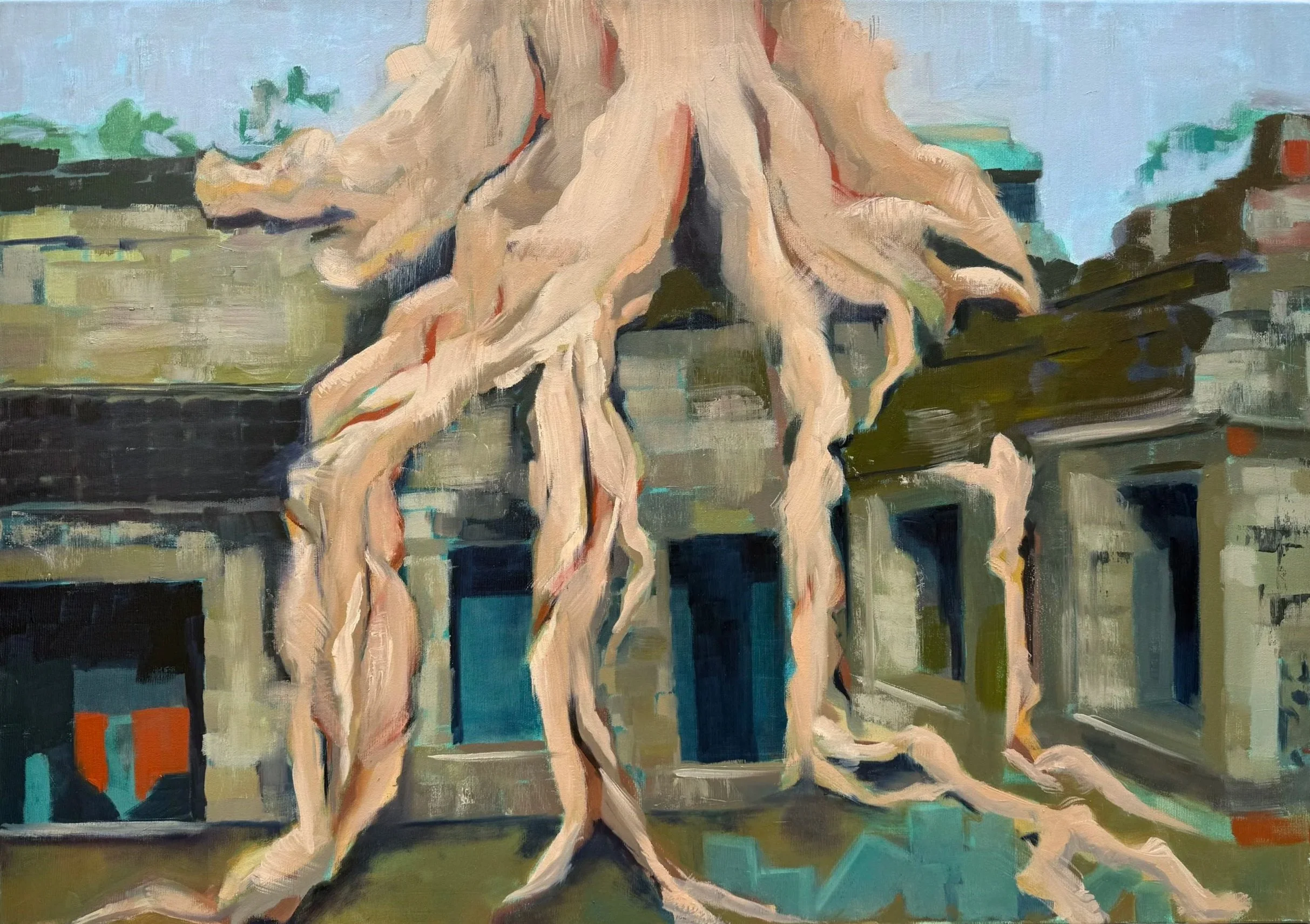 Strangler Fig 
Oil on canvas
60 x 80 cm
2026