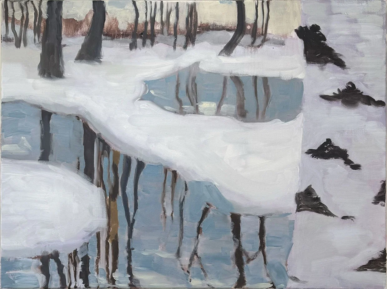 Winter Forest Swamp
Oil on canvas
60 x 80 cm
2026