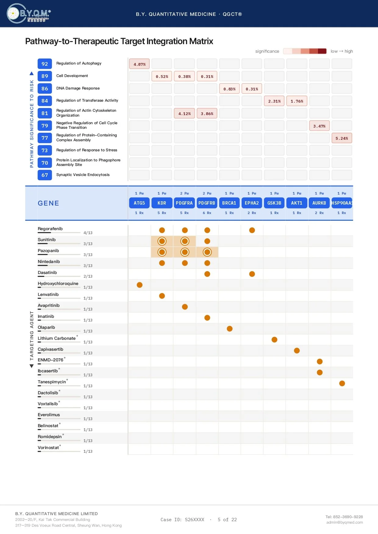 Fake Report_page-0005.jpg