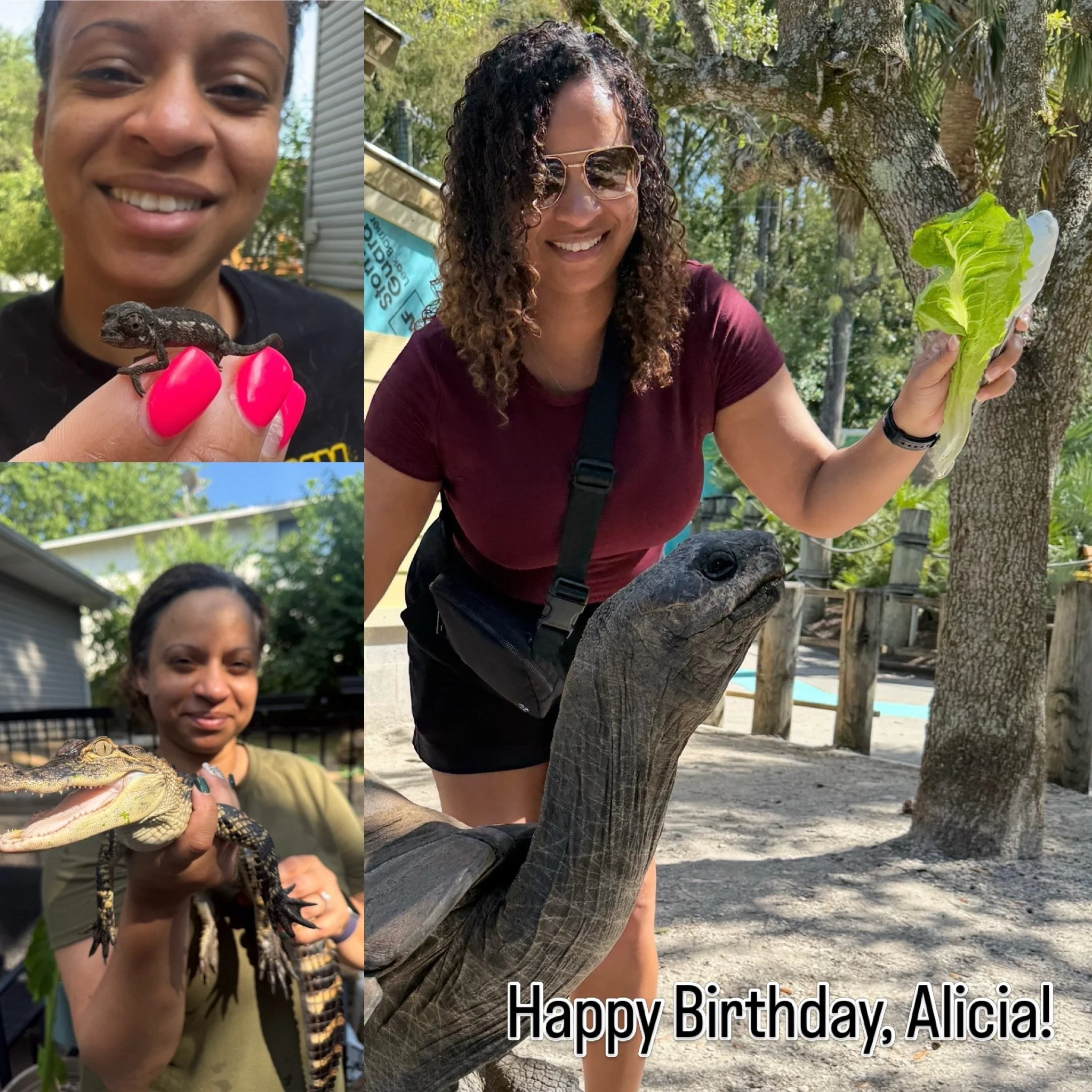 Today is my beautiful wife&rsquo;s birthday!  You may know Alicia as the bright smile and heart of the Leaf Me Be operation- but she is so much more: an incredibly intelligent, caring, and selfless person who gives so much of herself to ensure that m