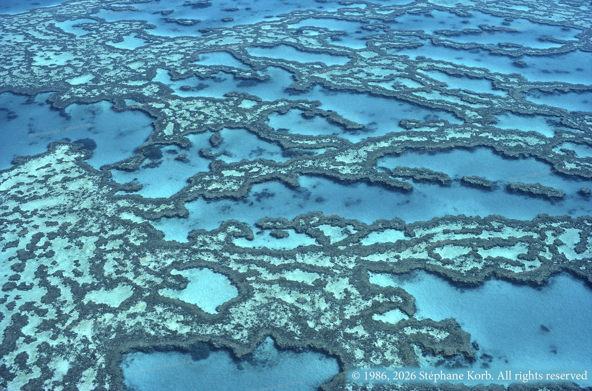 Under the Great Barrier Reef, 1986. 