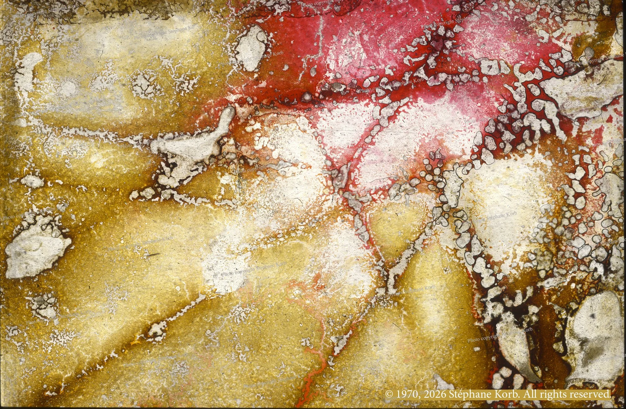 Genesis of a Visual Metamorphosis