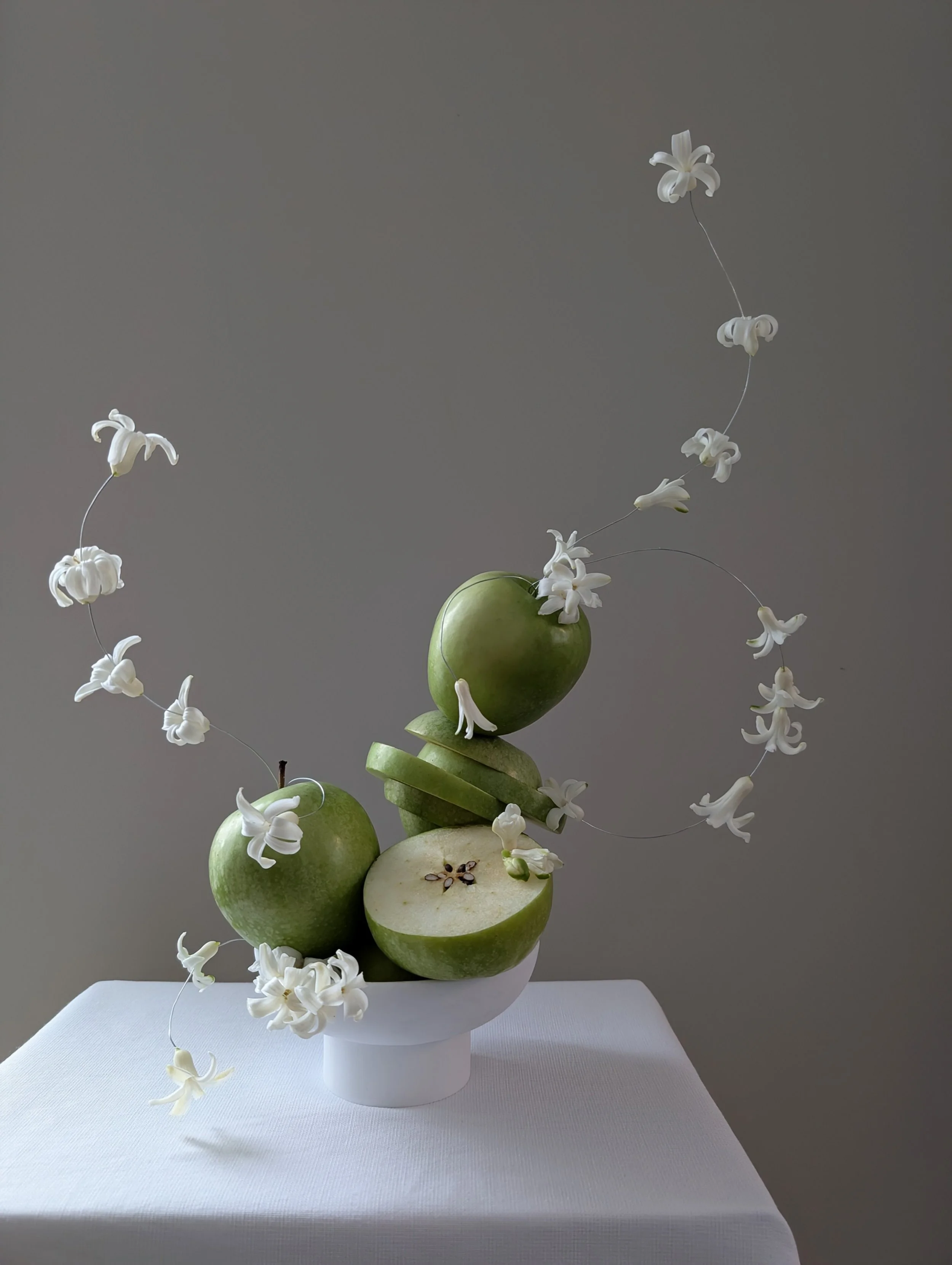 apples_botanical composition_photo_2026.jpg