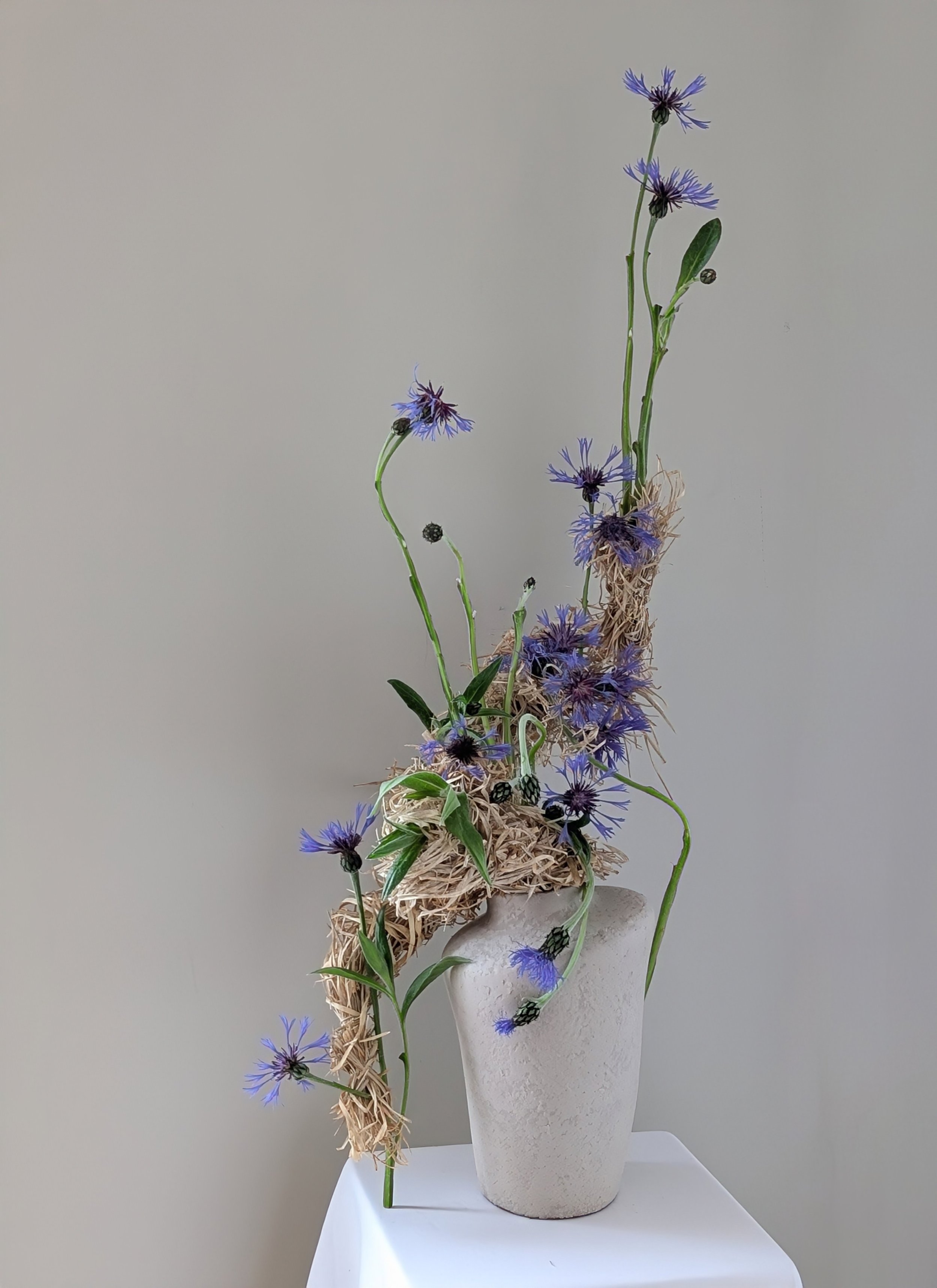 Cornflowers and dry grass_ botanical sculpture_photo_2026.jpg