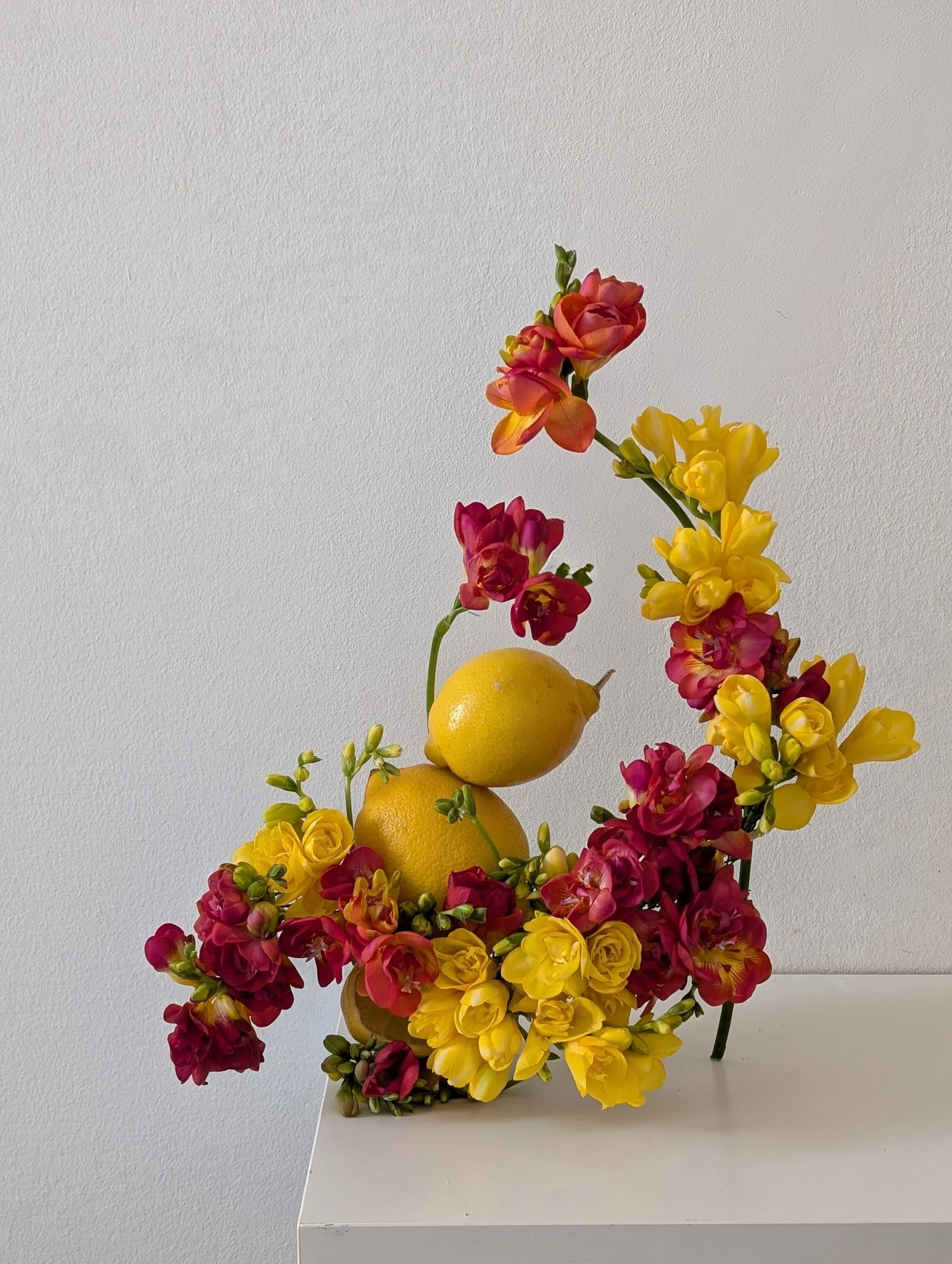 Lemons and Fresia Sculpture-2026-photo_Katerina Haaland.jpg