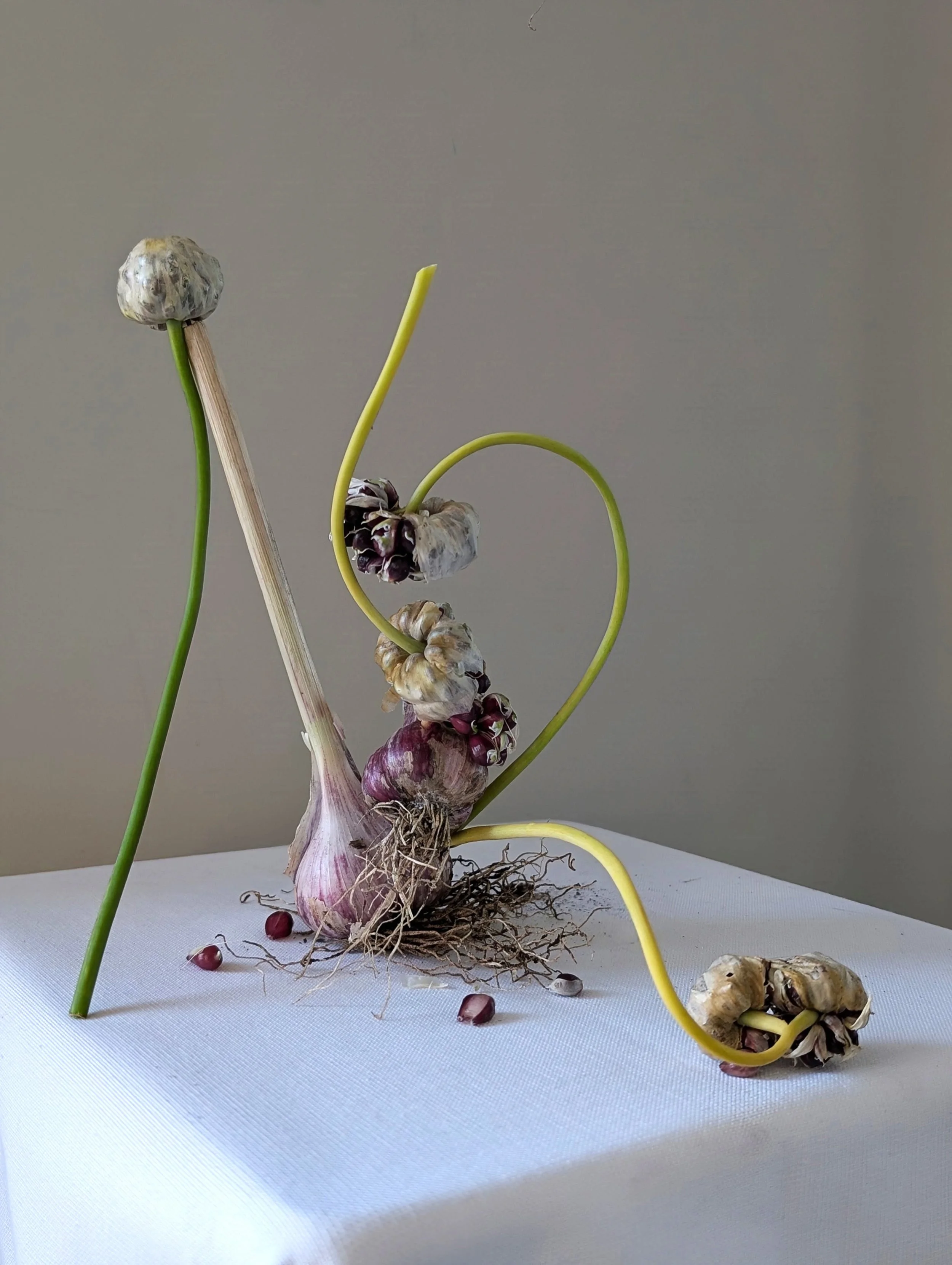katerina haaland_garlic sculpture.jpg