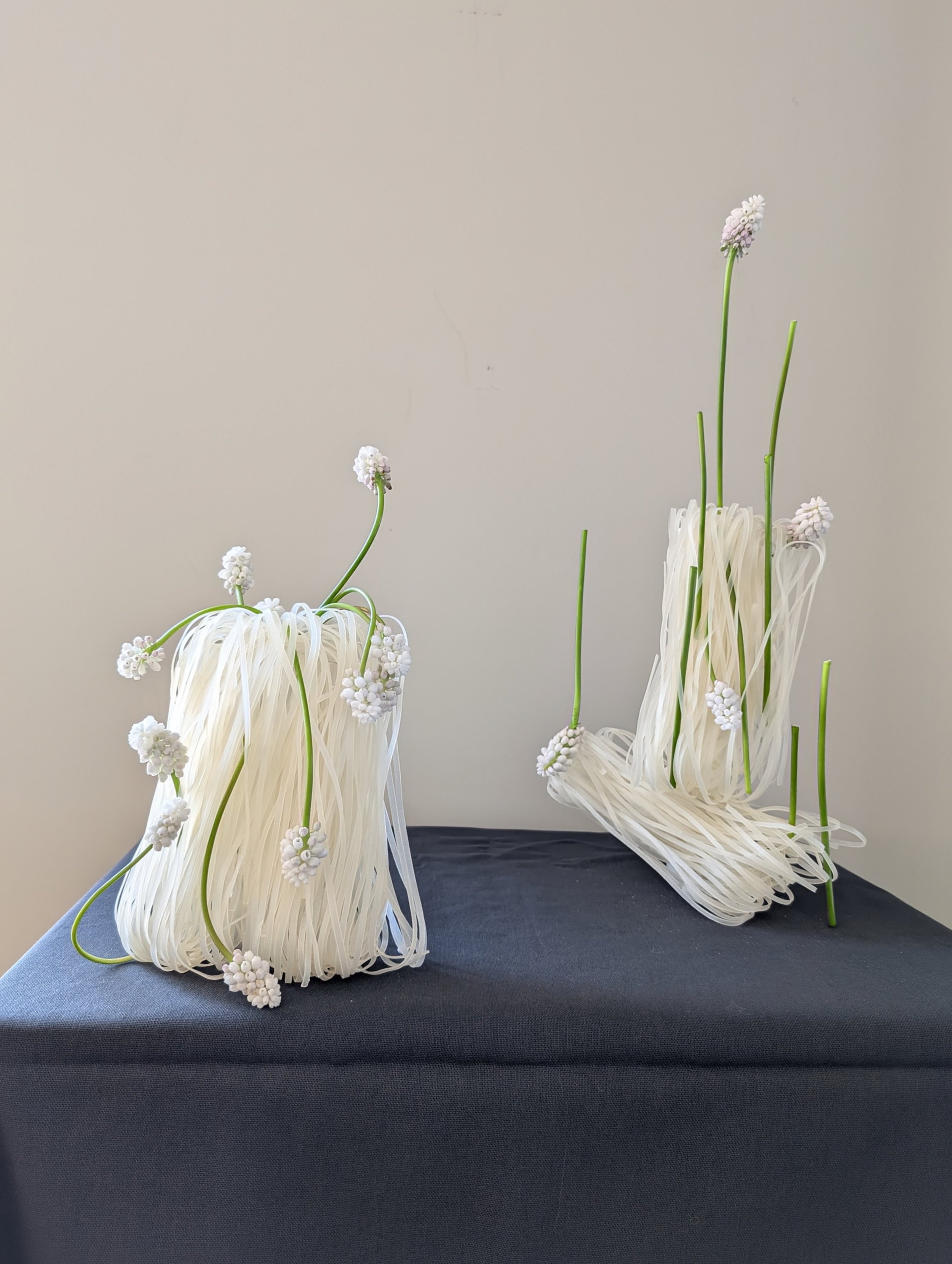 muscari and rice noodles_sculptures_photo_2026.jpg