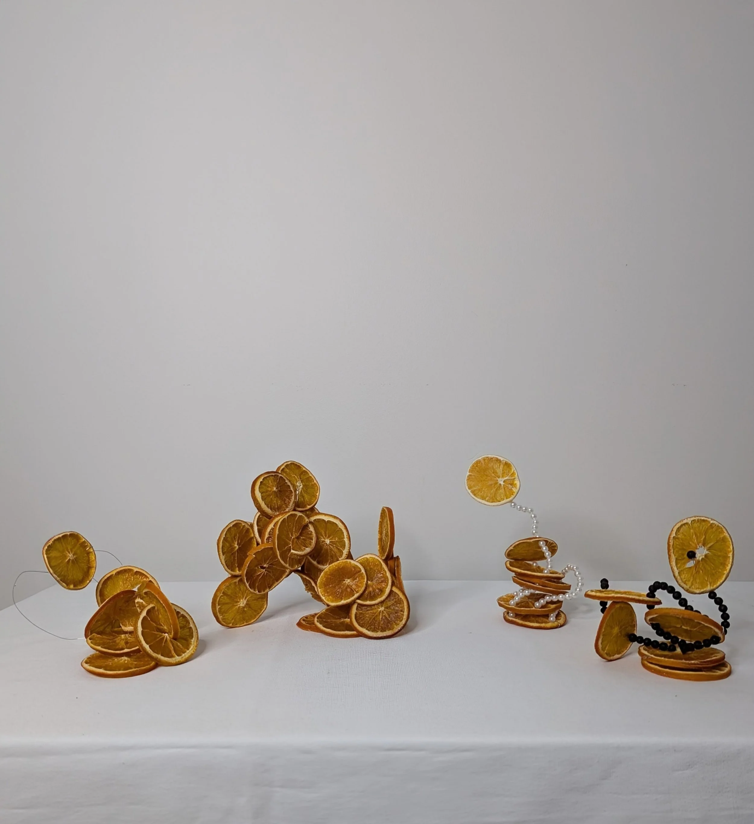 Dried orrange slices sculptures-2026-photo_Katerina Haaland.jpg