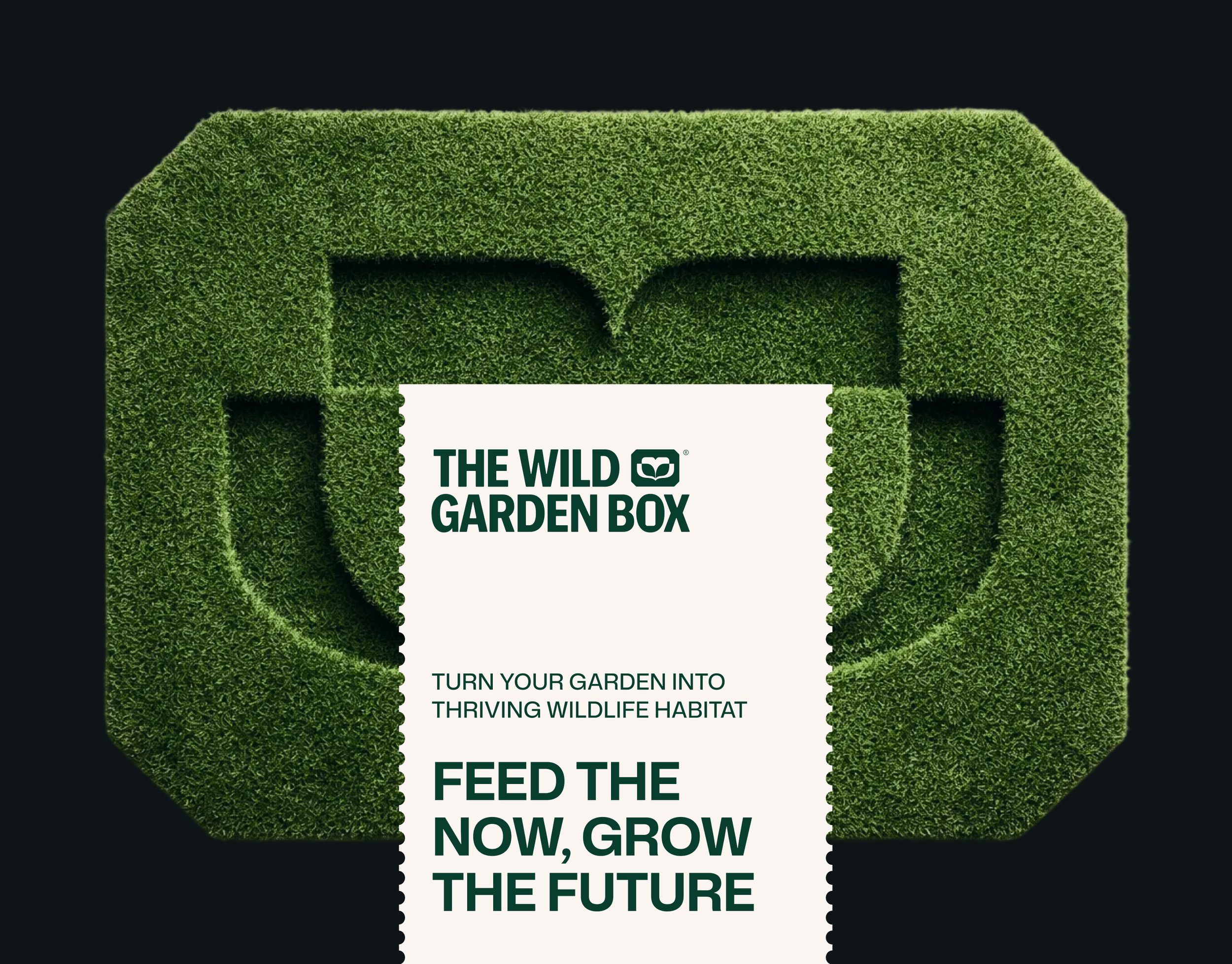 Brand Identity for Wild Garden Box