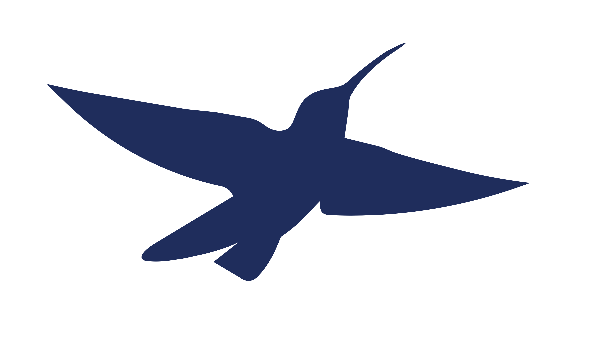 Silhouette of a flying hummingbird