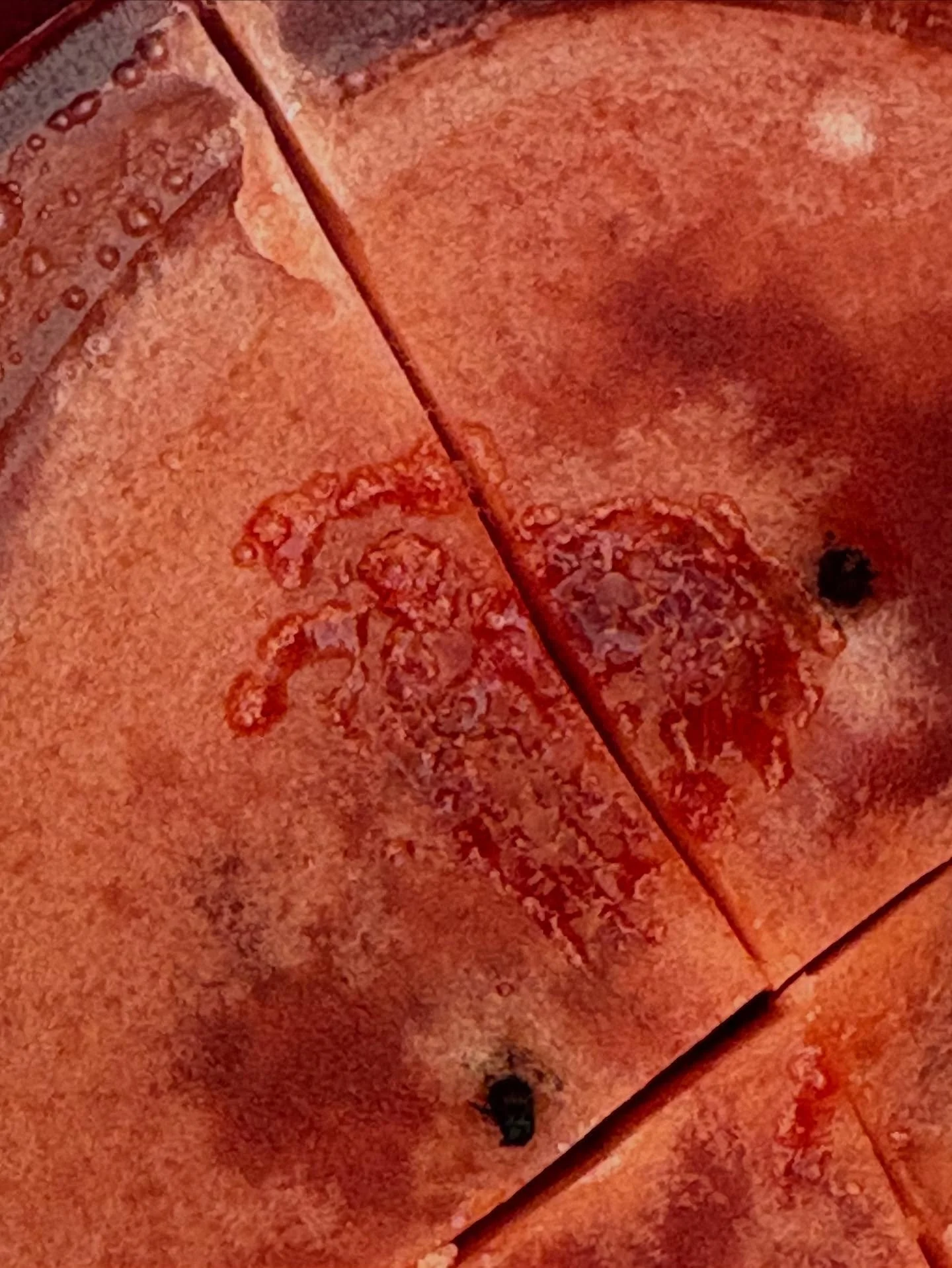 Hearts have been following me around the last day or so and I just found this one in the candle wax! Unfortunately I cut through it before I saw it, but it&rsquo;s still beautiful even with the cut! ❤️&zwj;🩹

#surroundedbylove #hearts #heartsfromspi