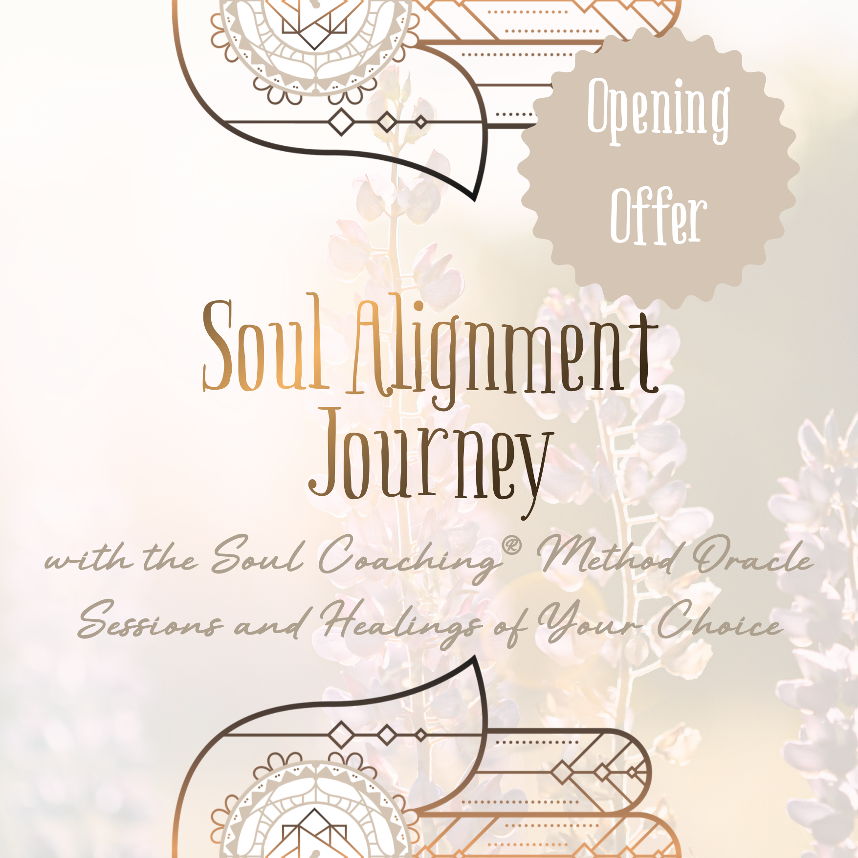 Soul Alignment Journey