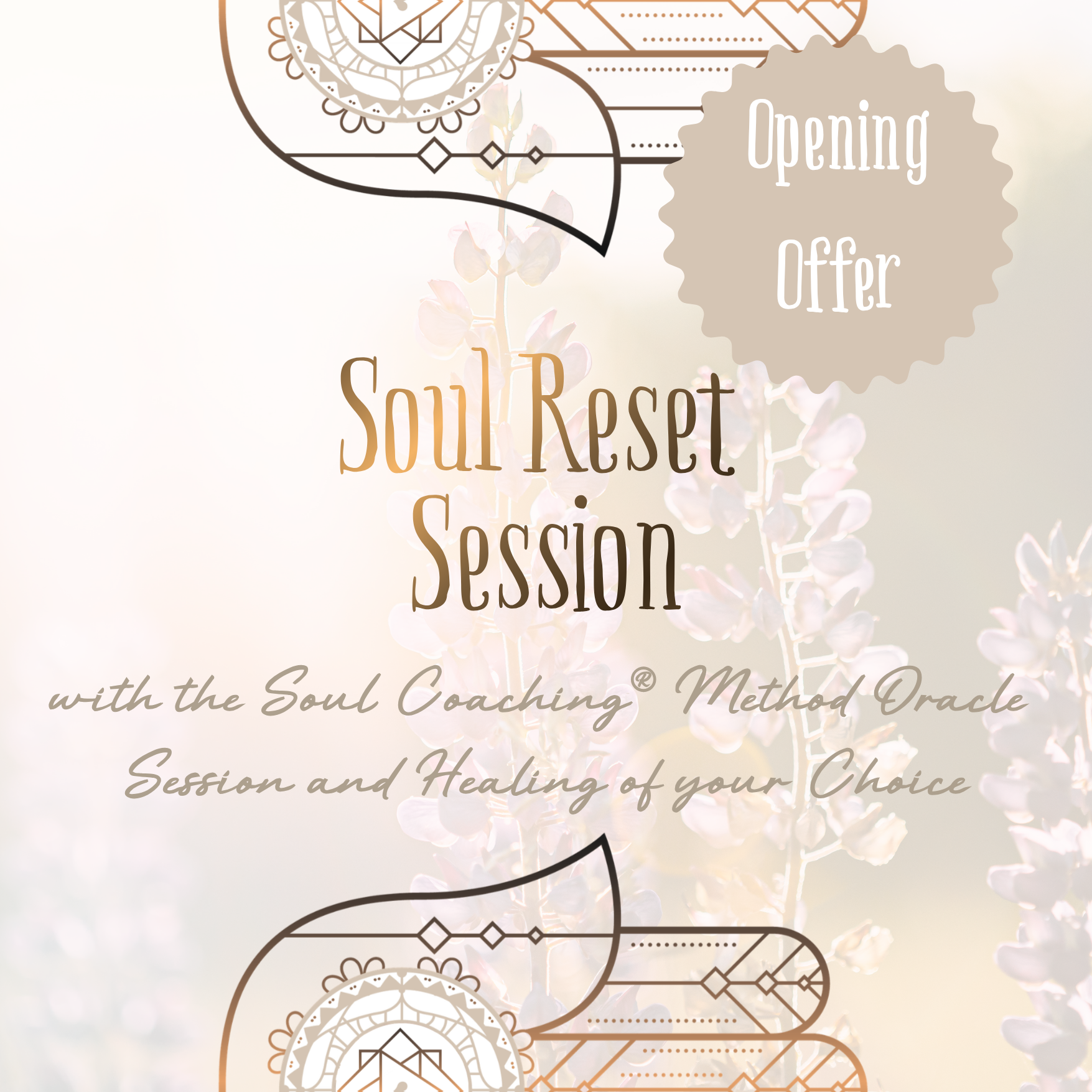 Soul Reset Session