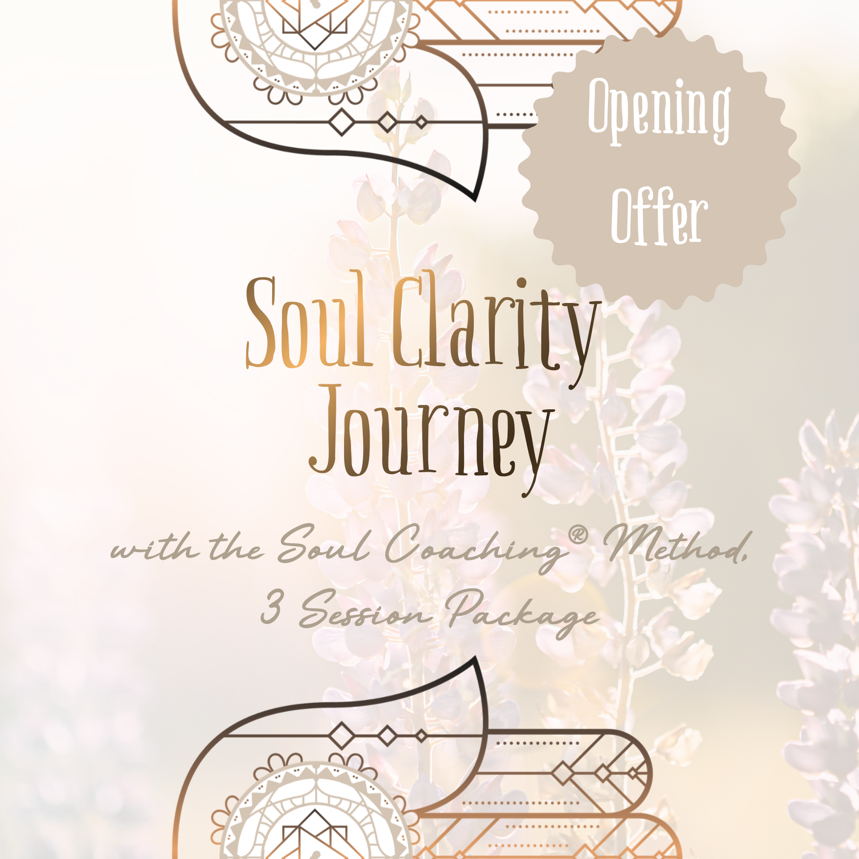 Soul Clarity Journey